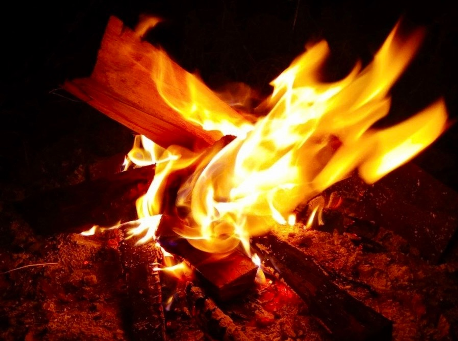 Розалия Хисаева fotobank02.ru