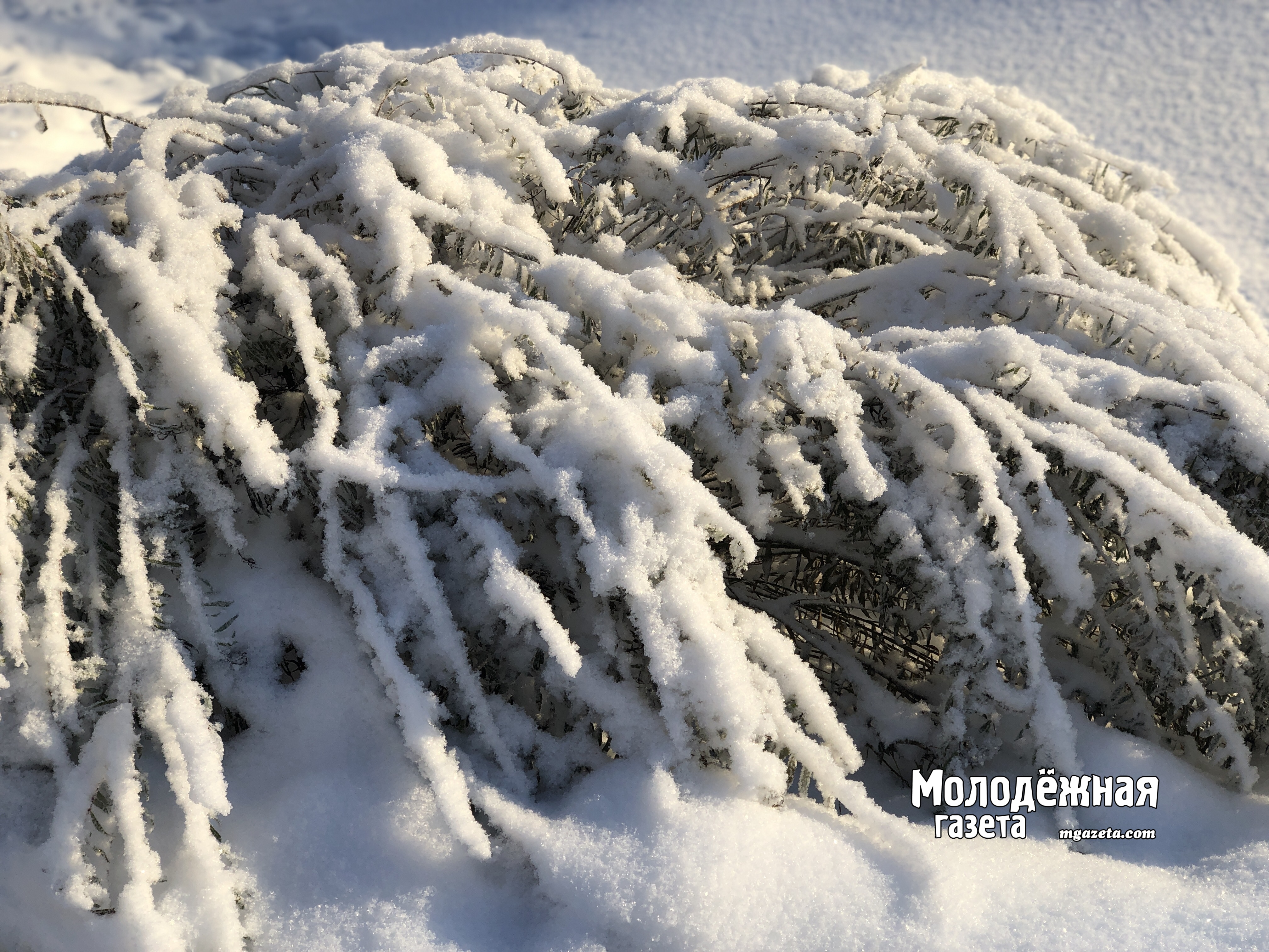 Жителей Башкирии ожидают серьезные морозы