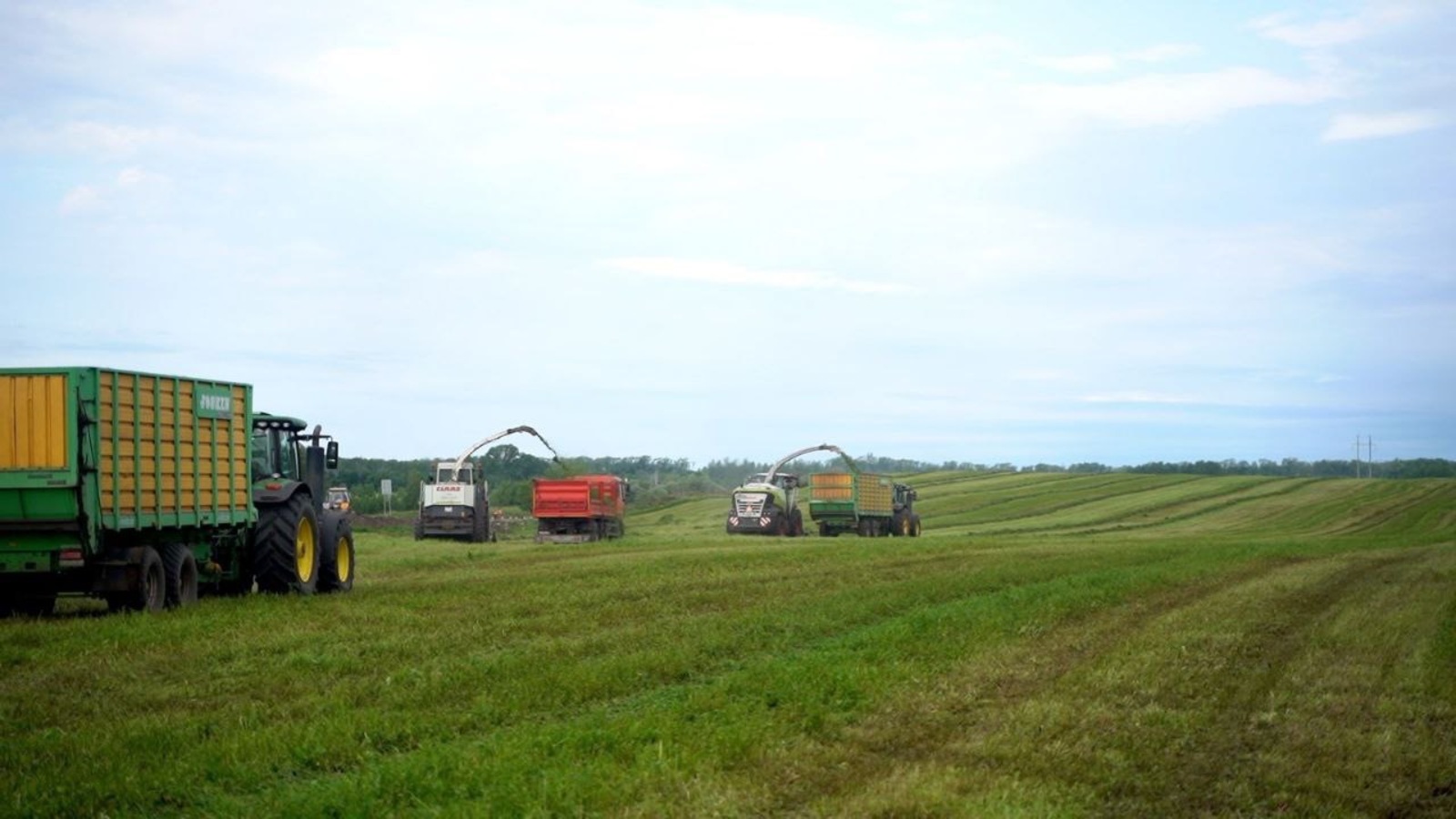 пресс-служба Минсельхоза РБ