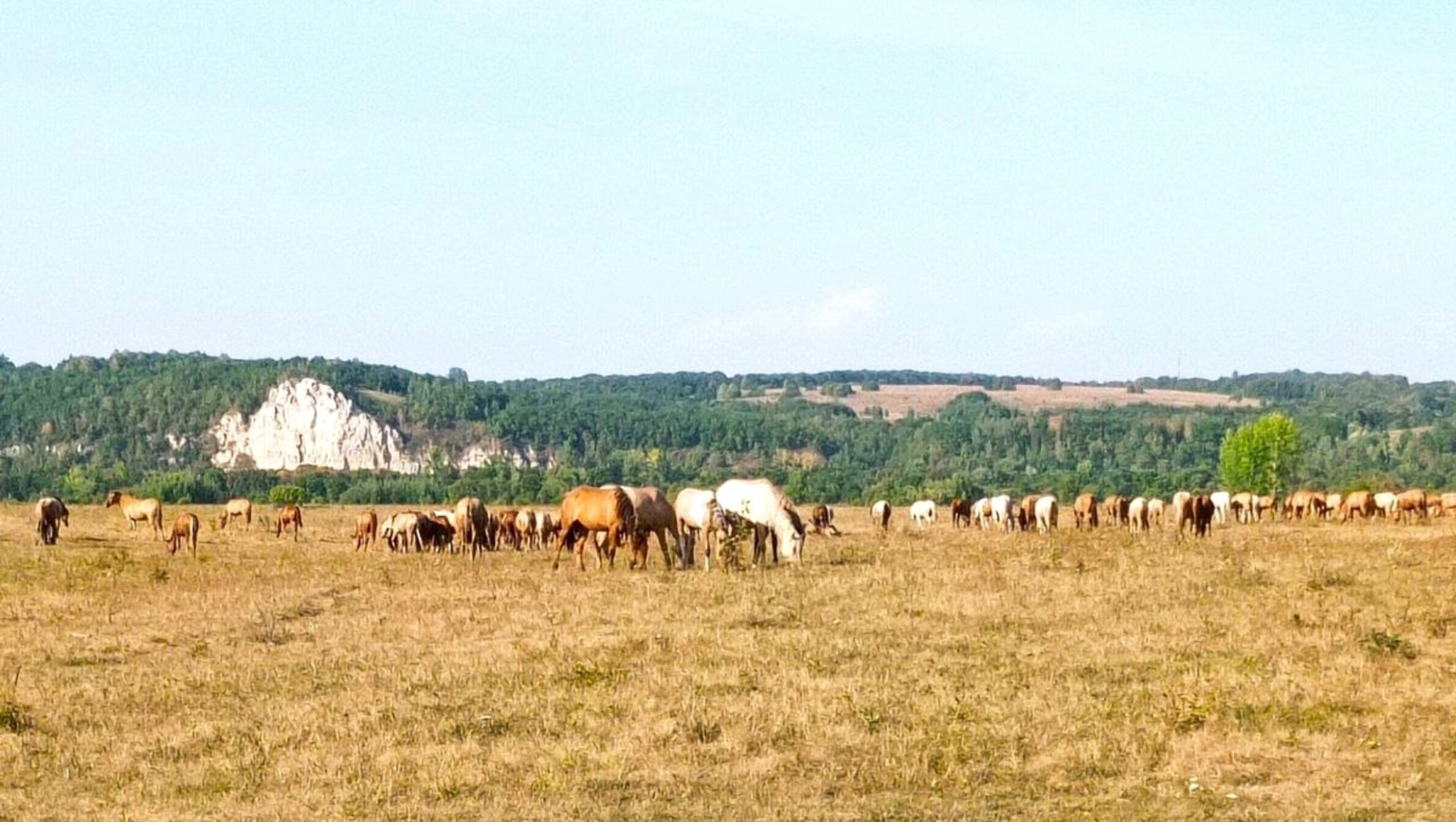 Розалия Хисаева fotobank02.ru