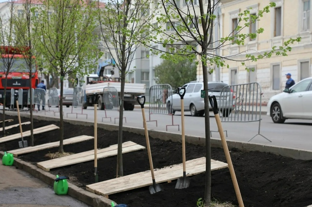 В Уфе высадят свыше 1700 деревьев и более 5400 тысячи кустарников