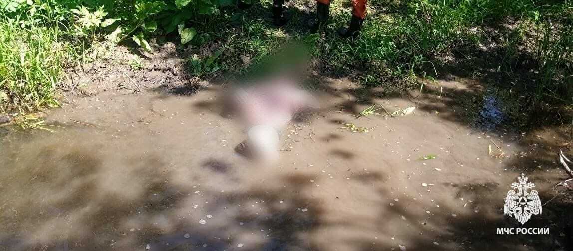 В Башкирии в реке Тор утонул 56-летний мужчина