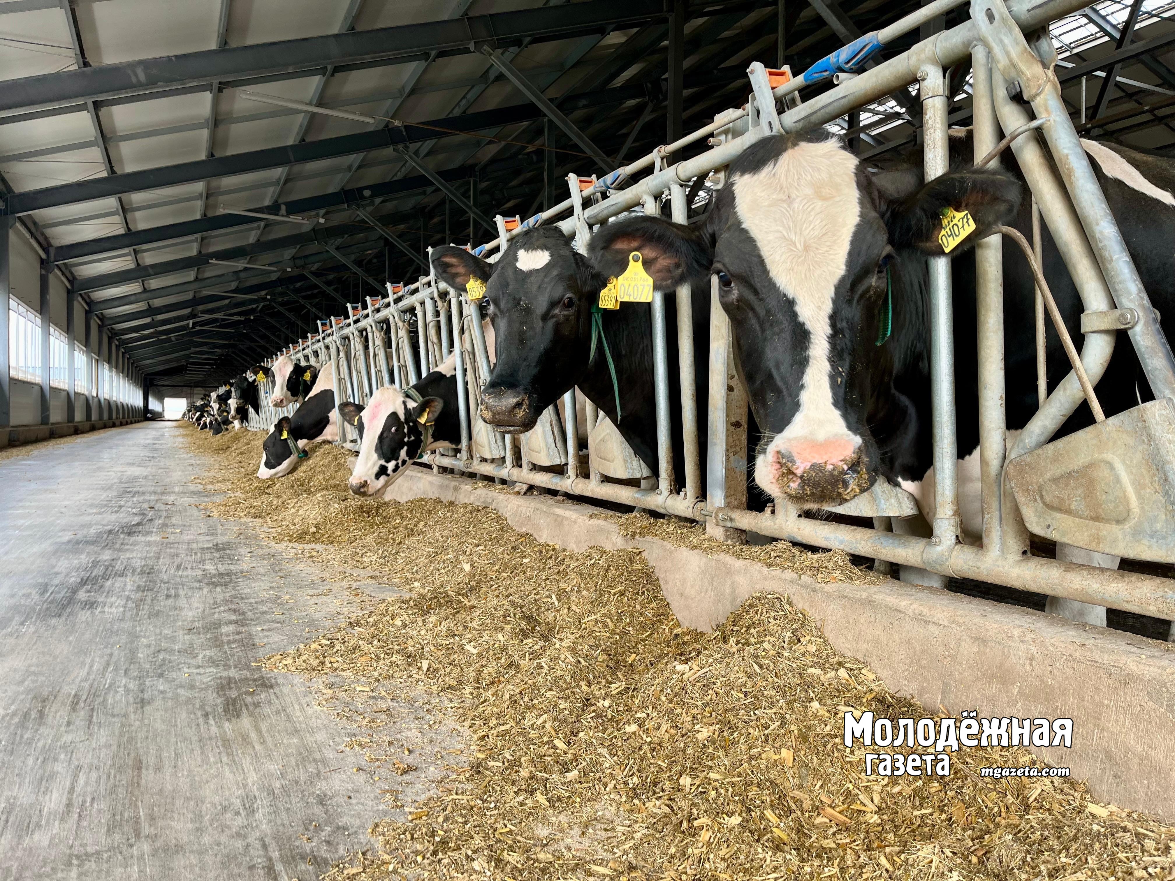 Агропром Башкирии за год отправил более 530 тысяч тонн продукции в 35 стран