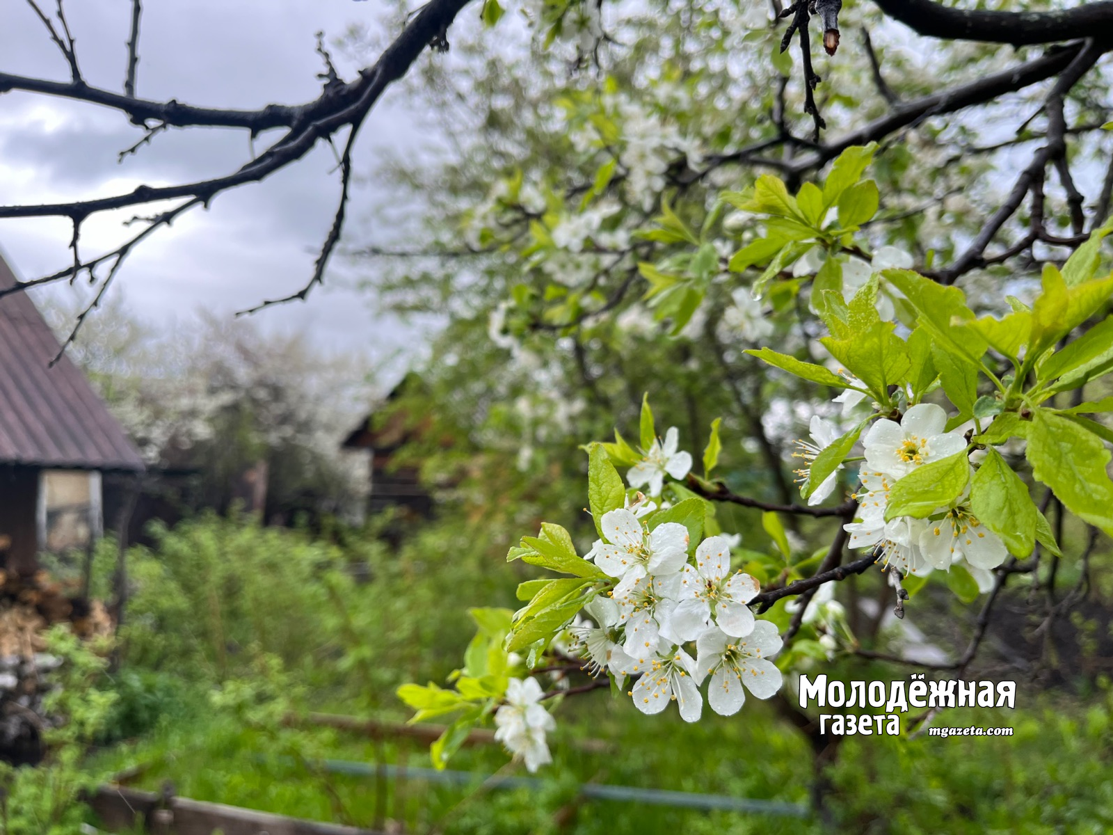 На 1 Мая уфимцев ждет фестиваль национальных культур и концерты в пяти парках