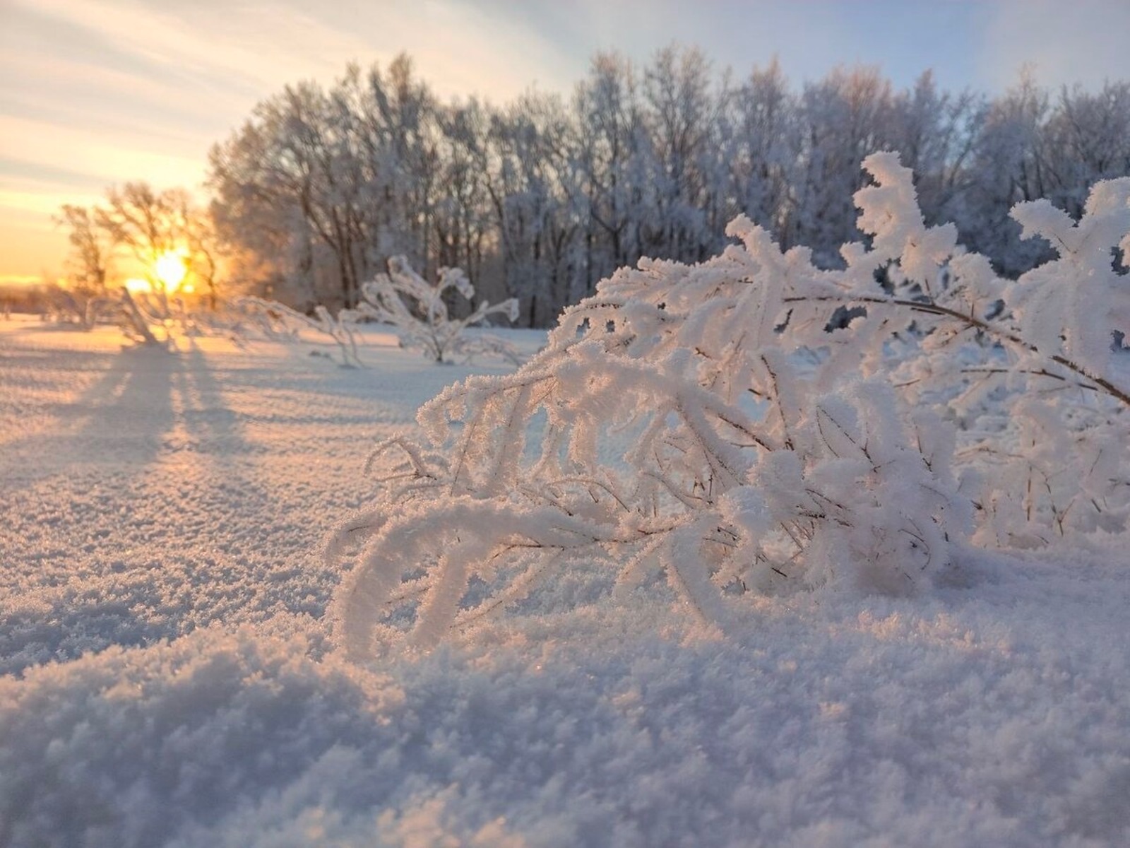 Гузель Кудашева fotobank02.ru