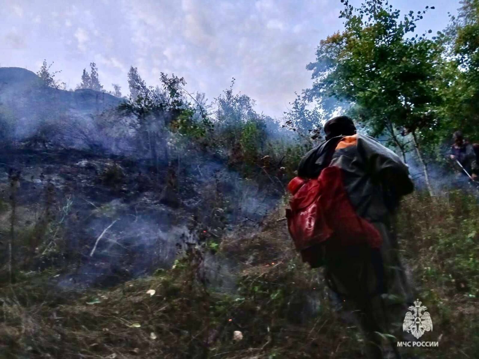 В Башкирии на площади 1,8 гектара был локализован лесной пожар