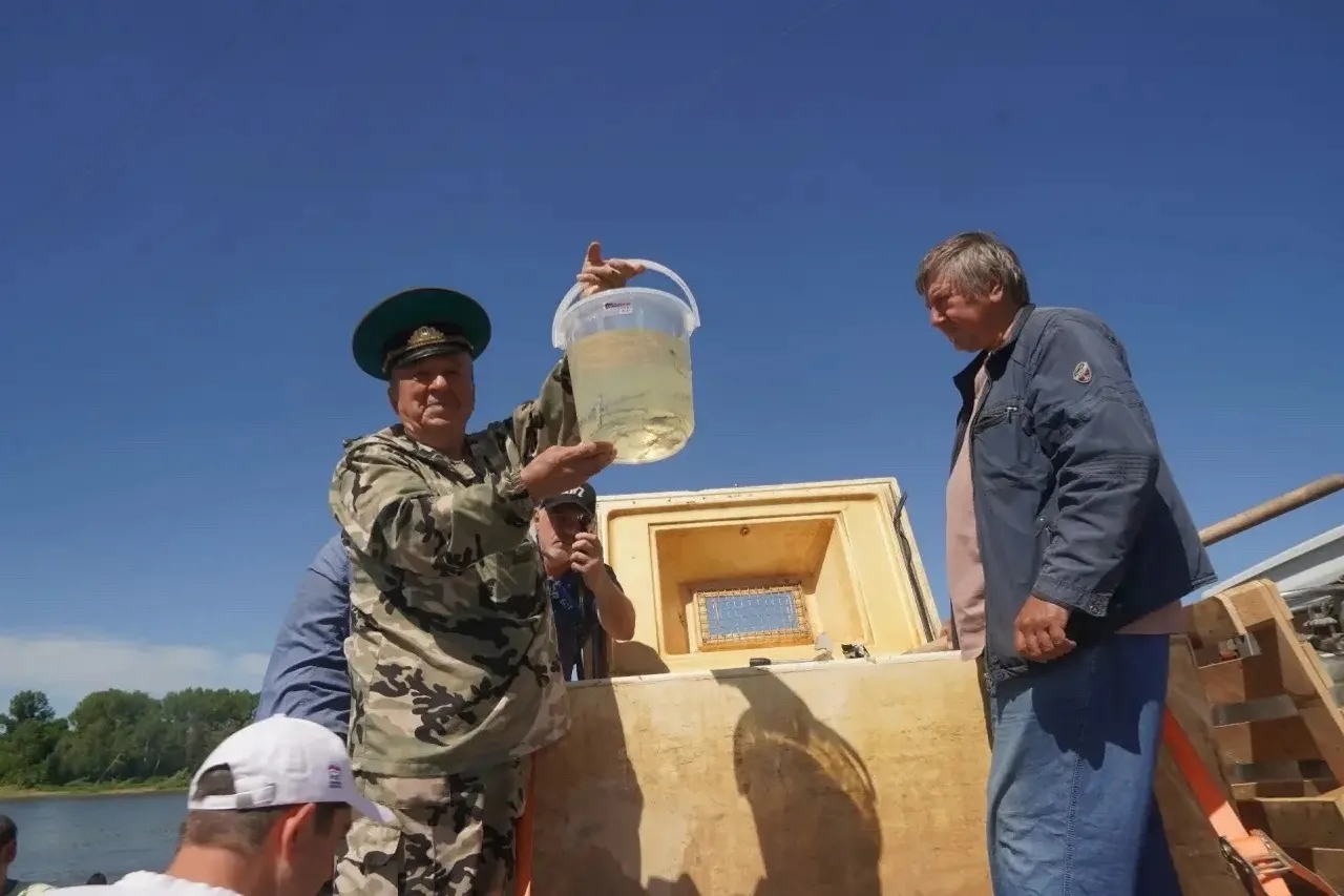 Андрей Назаров написал о проекте Водорослям крышка