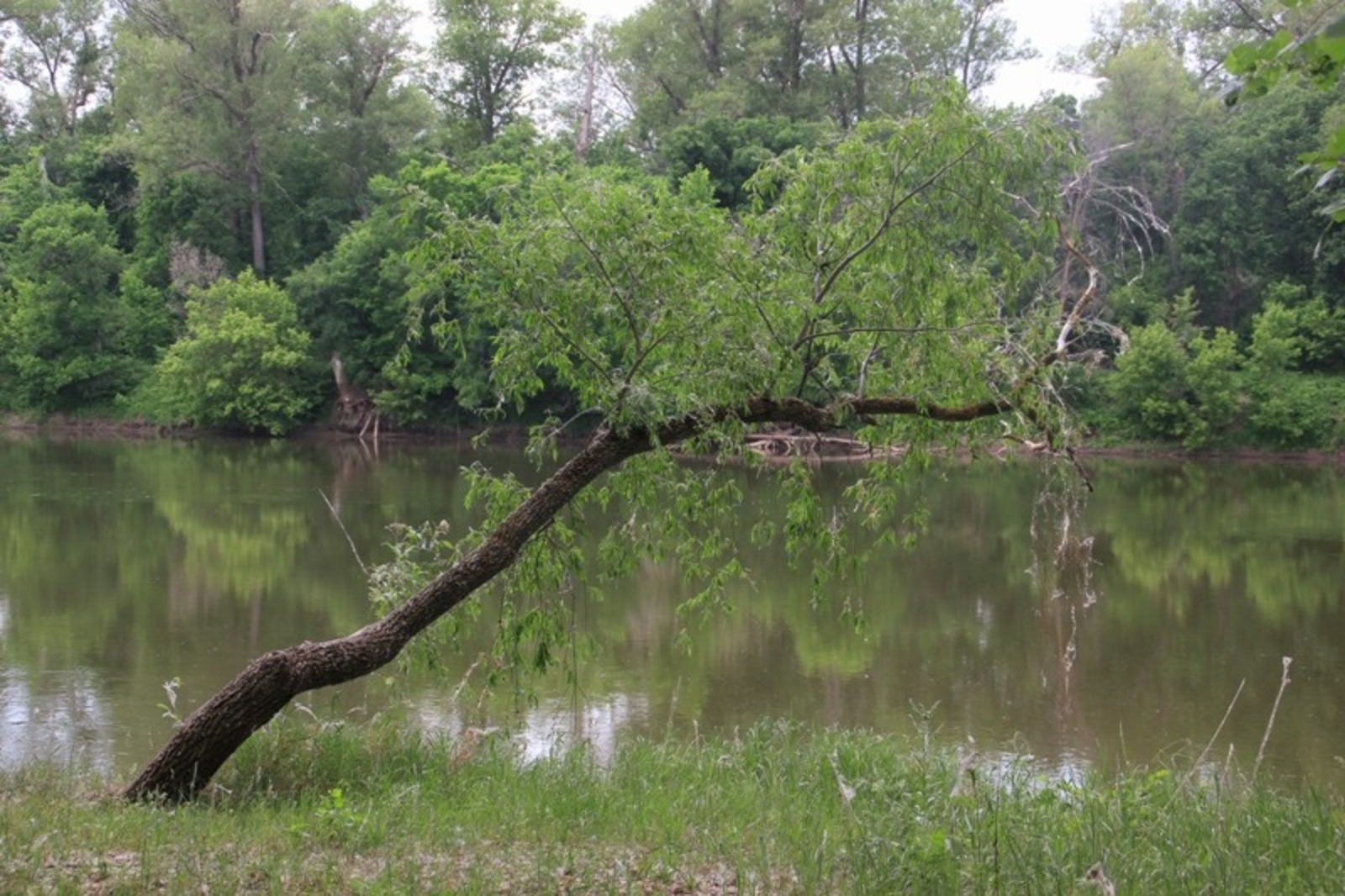 Анастасия Ададурова fotobank02.ru