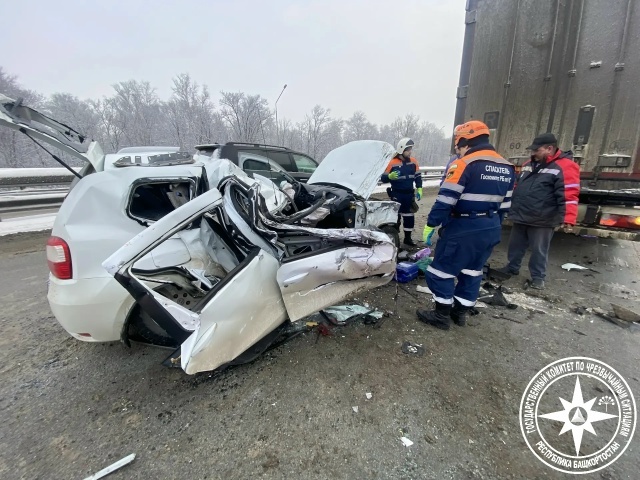 В Башкирии в ДТП с фурой пострадали женщина и ребенок