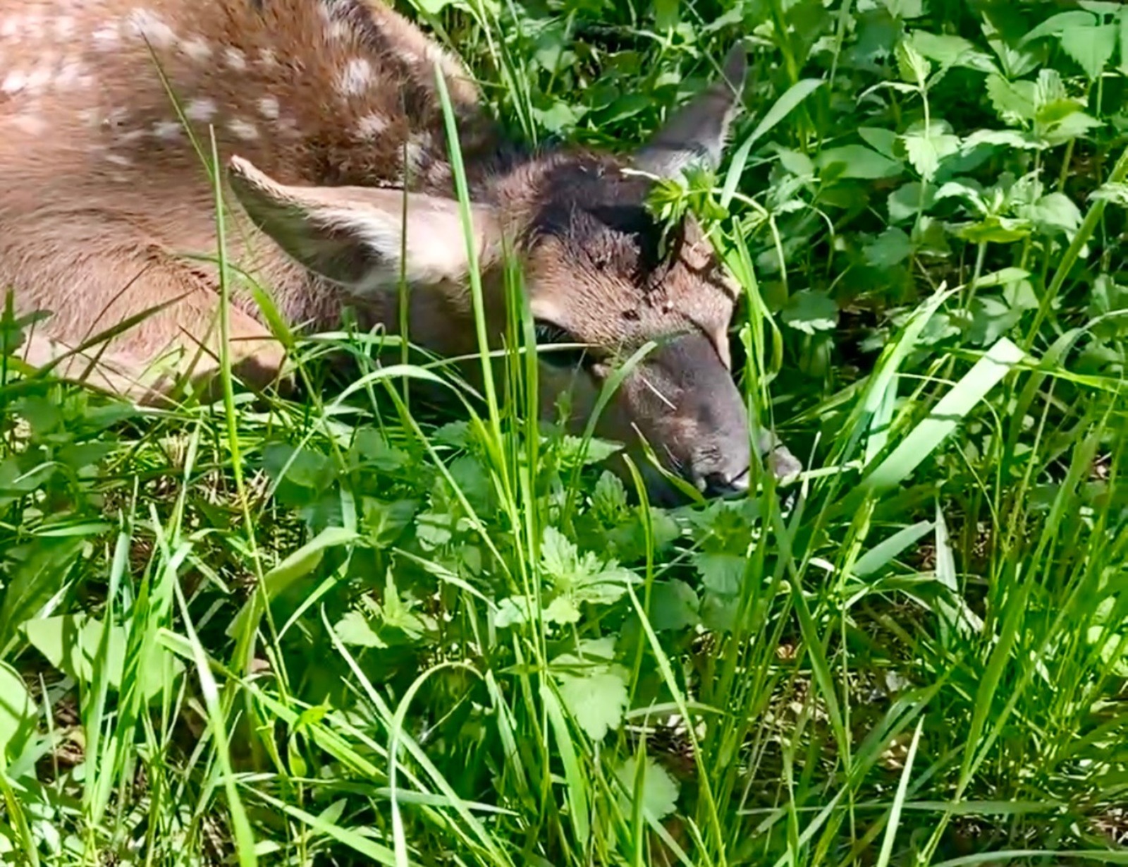 Башкирский государственный заповедник