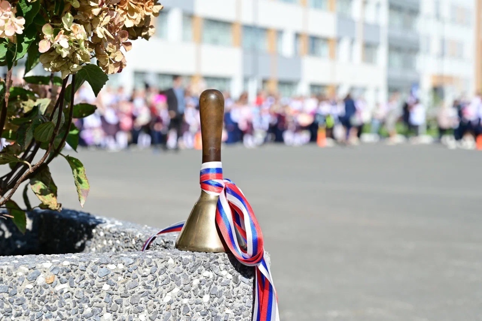 Андрей Назаров поздравил жителей Башкирии с Днем знаний