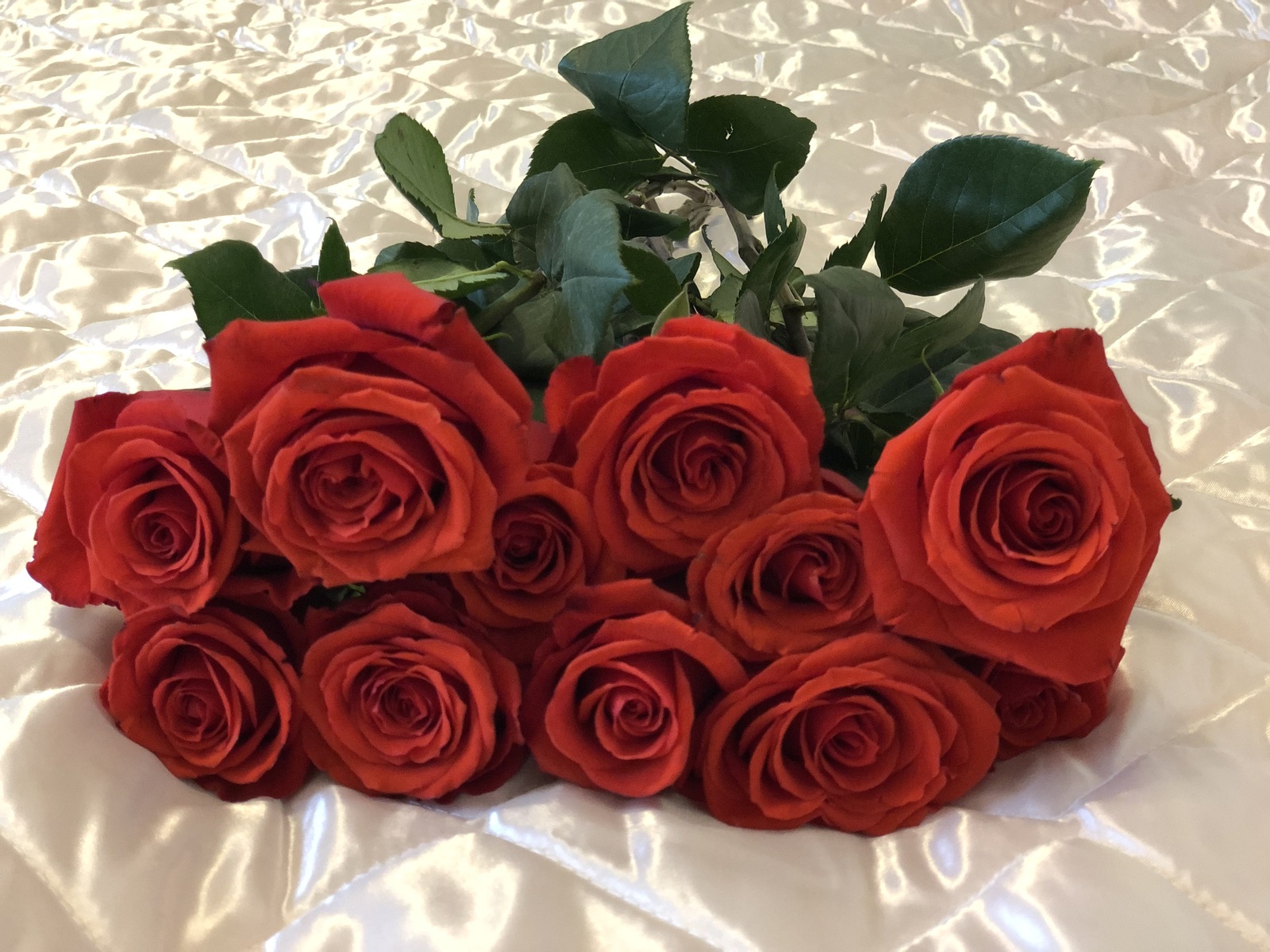 В Башкирии еще 50 многодетных матерей удостоены медали «Материнская слава»