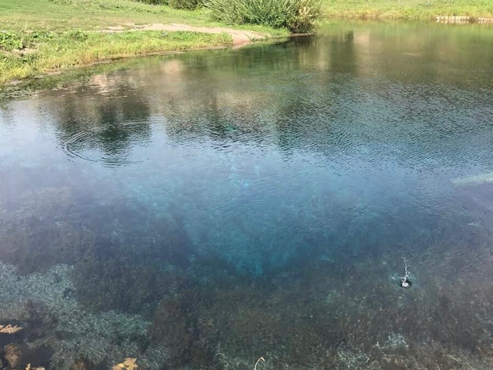 Розалия Хисаева  fotobank02.ru