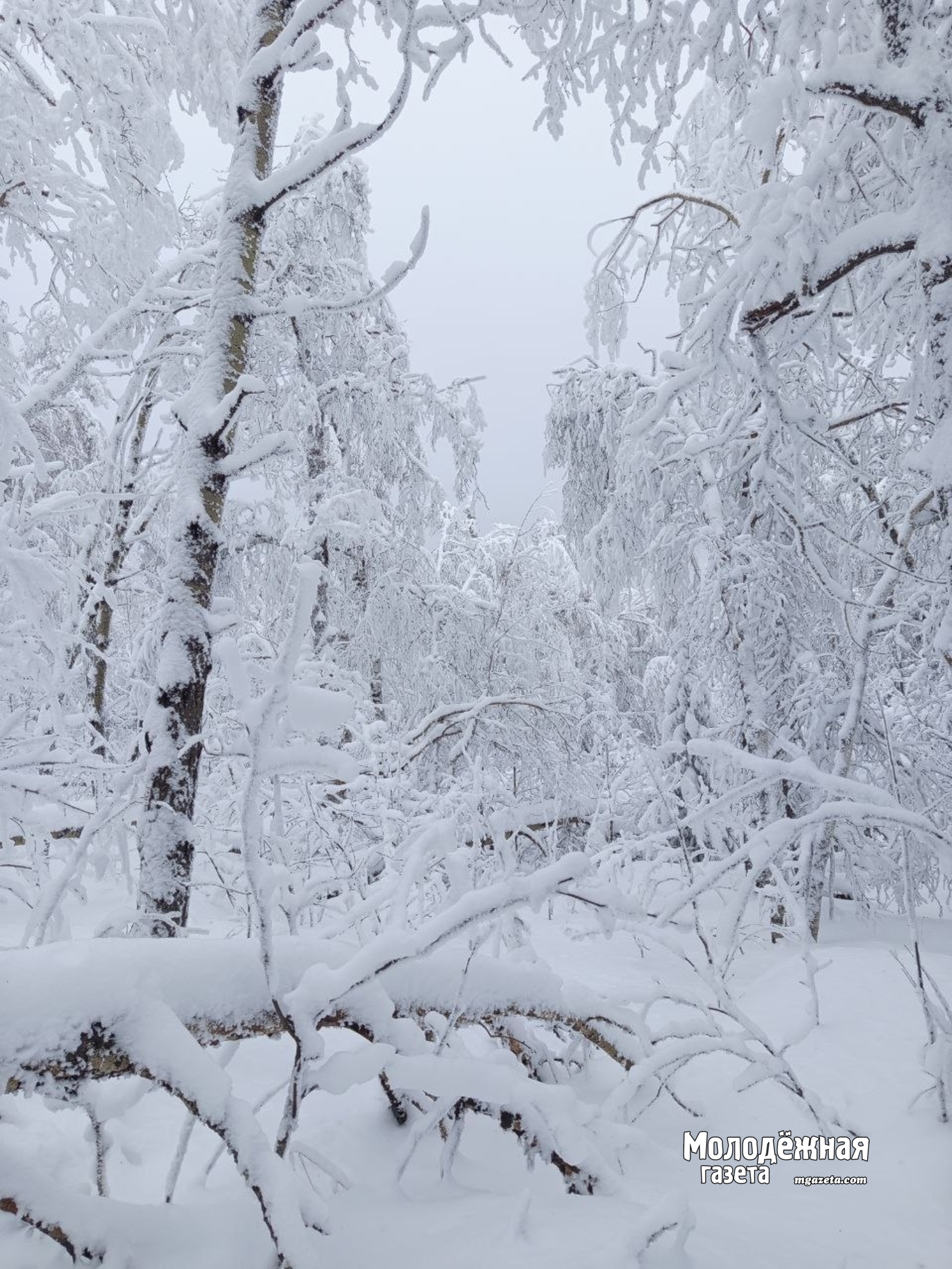 Жители Башкирии застряли на снегоходе
