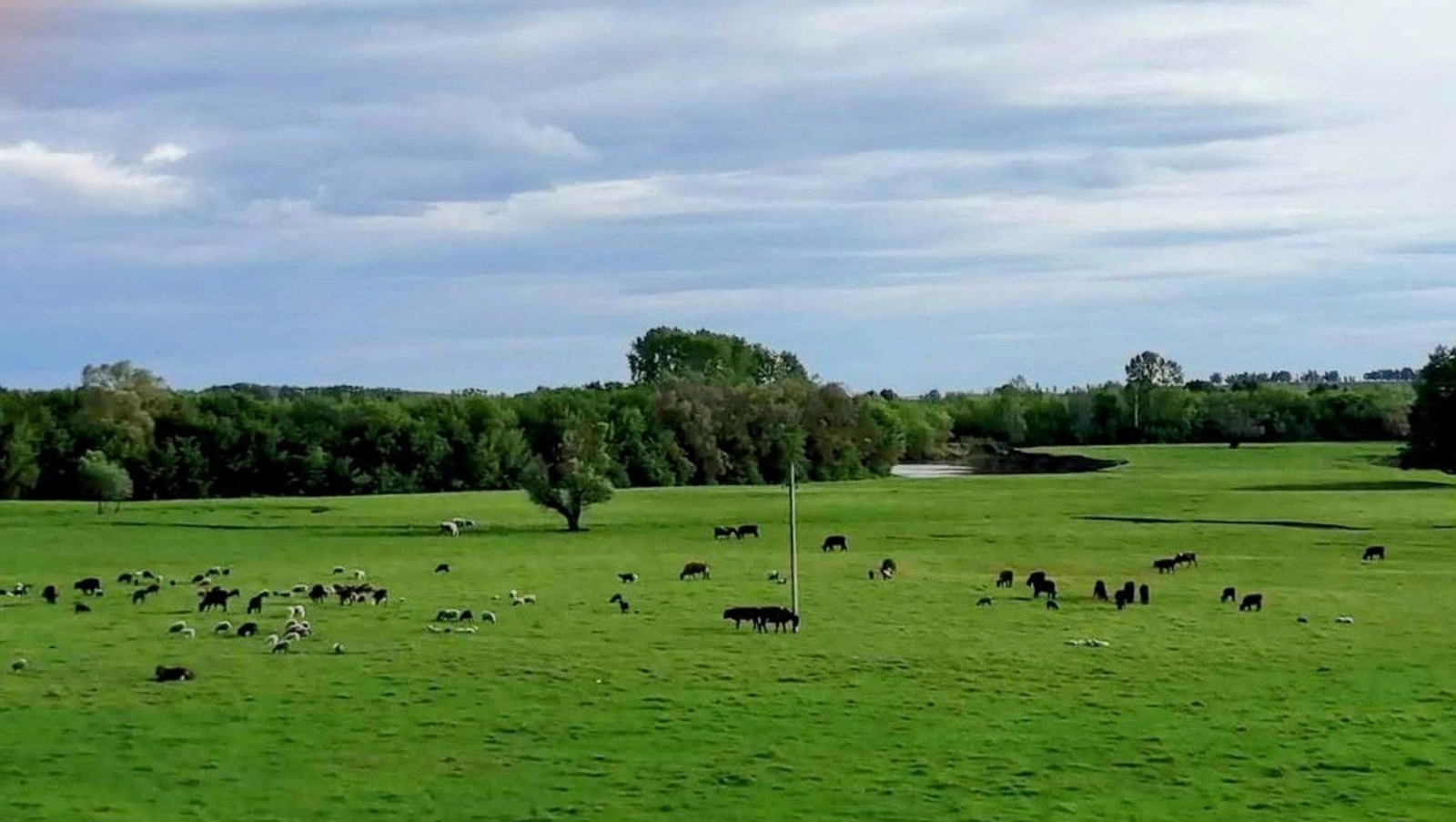 Розалия Хисаева fotobank02.ru