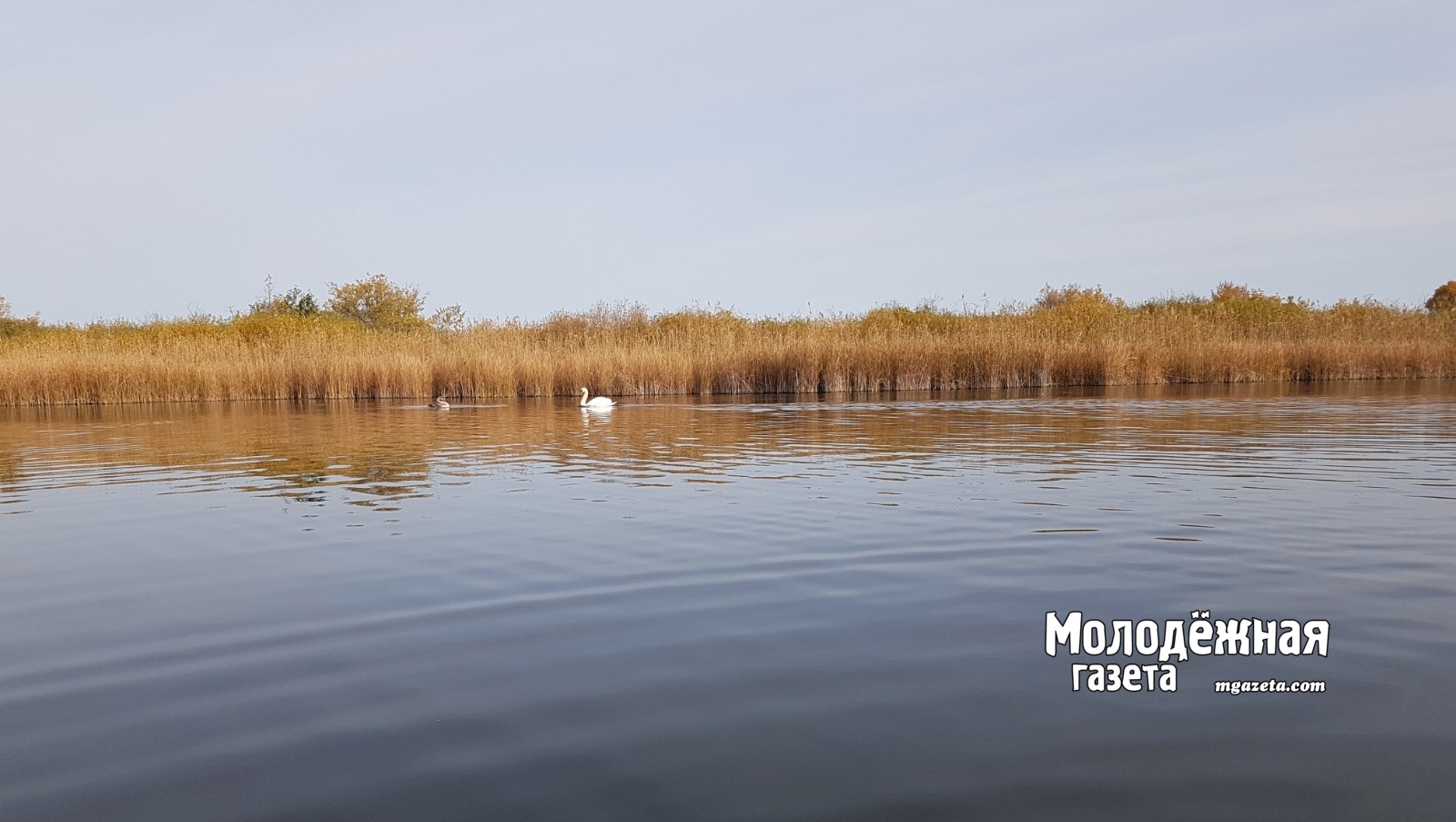 В Башкирии парень чуть не утонул в реке