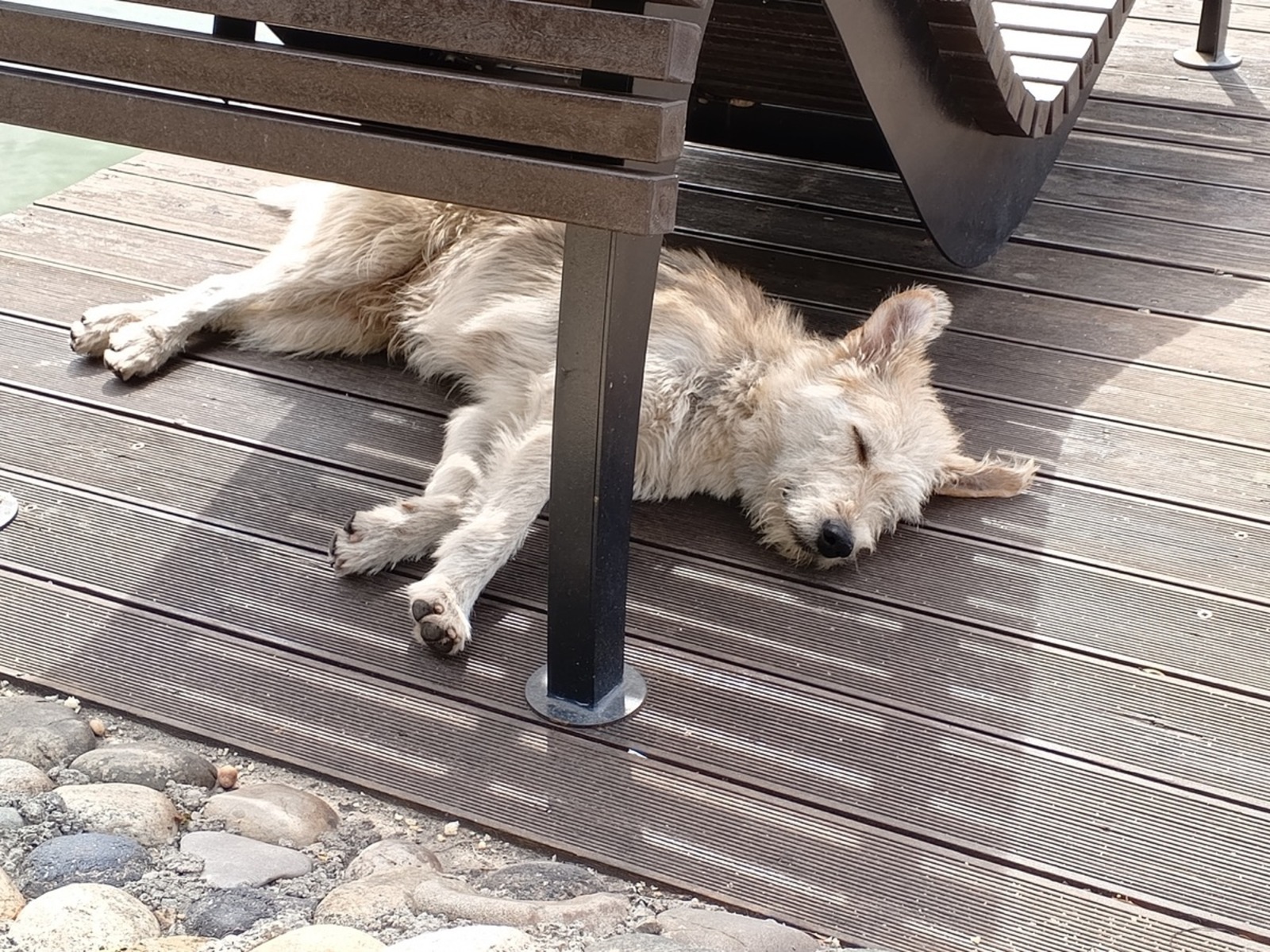 Розалия Хисаева fotobank02.ru