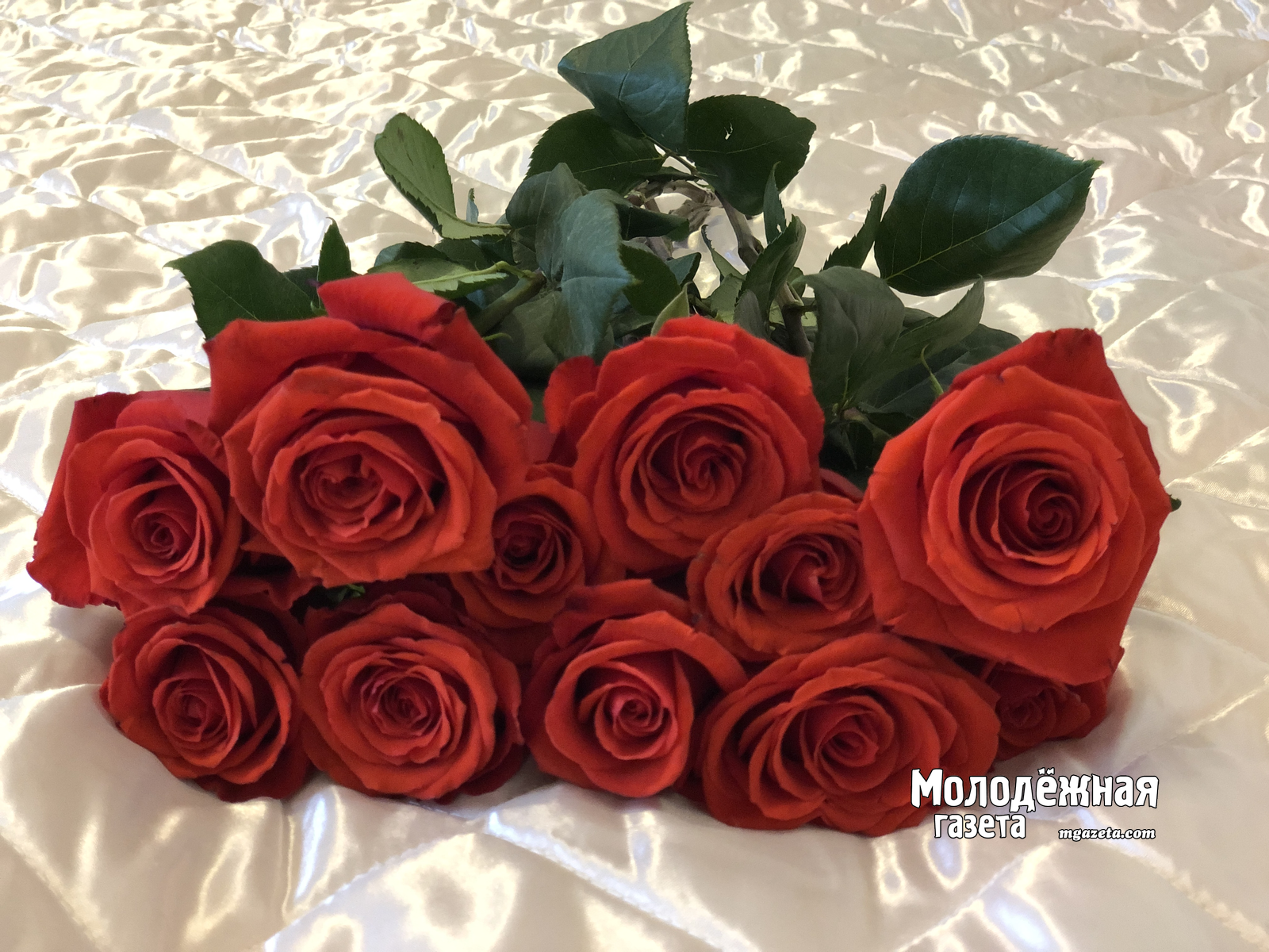 Гострудинспекция разъяснила порядок отдыха и оплаты труда в связи с 8 Марта