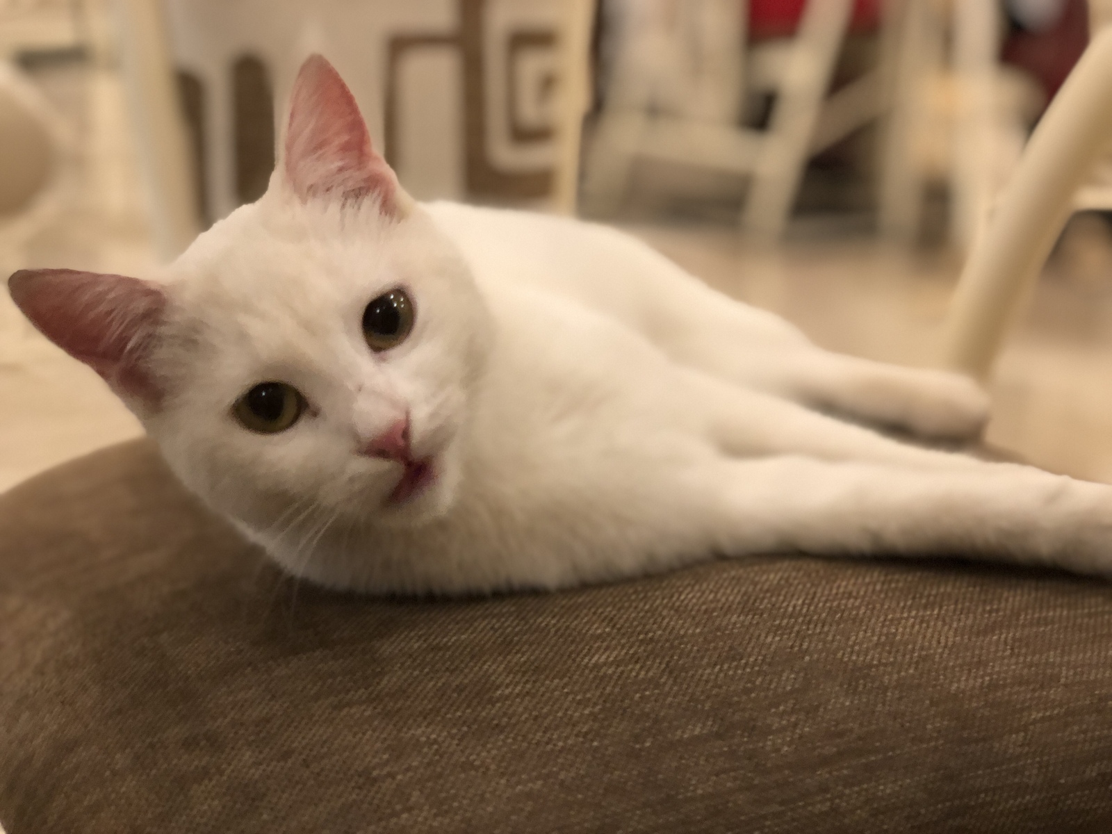 Башкирских креативных предпринимателей приглашают на поддержку проектов