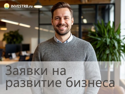 Портал INVESTRB с начала года принял 190 заявок на развитие бизнеса в Башкирии