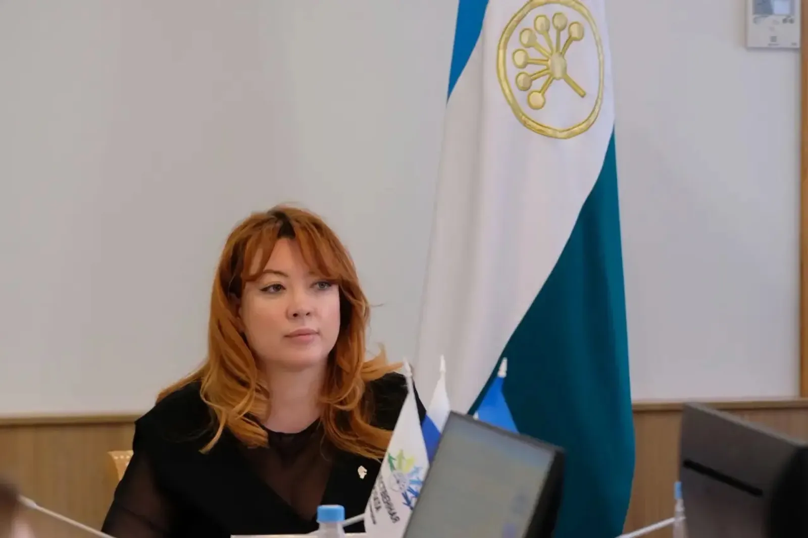 В Уфе эксперты представили «антимошеннический» стандарт для НКО и фондов