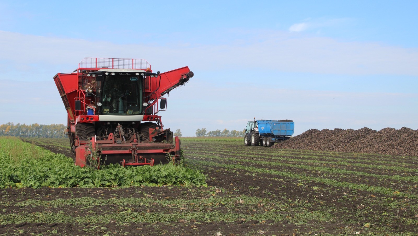 Данил Андреев fotobank02.ru