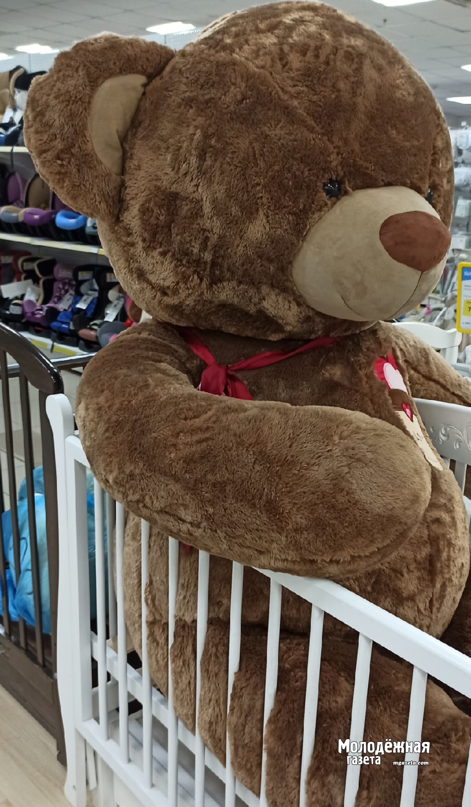 Поддержка многодетных в Башкирии: собрали все меры помощи для семей