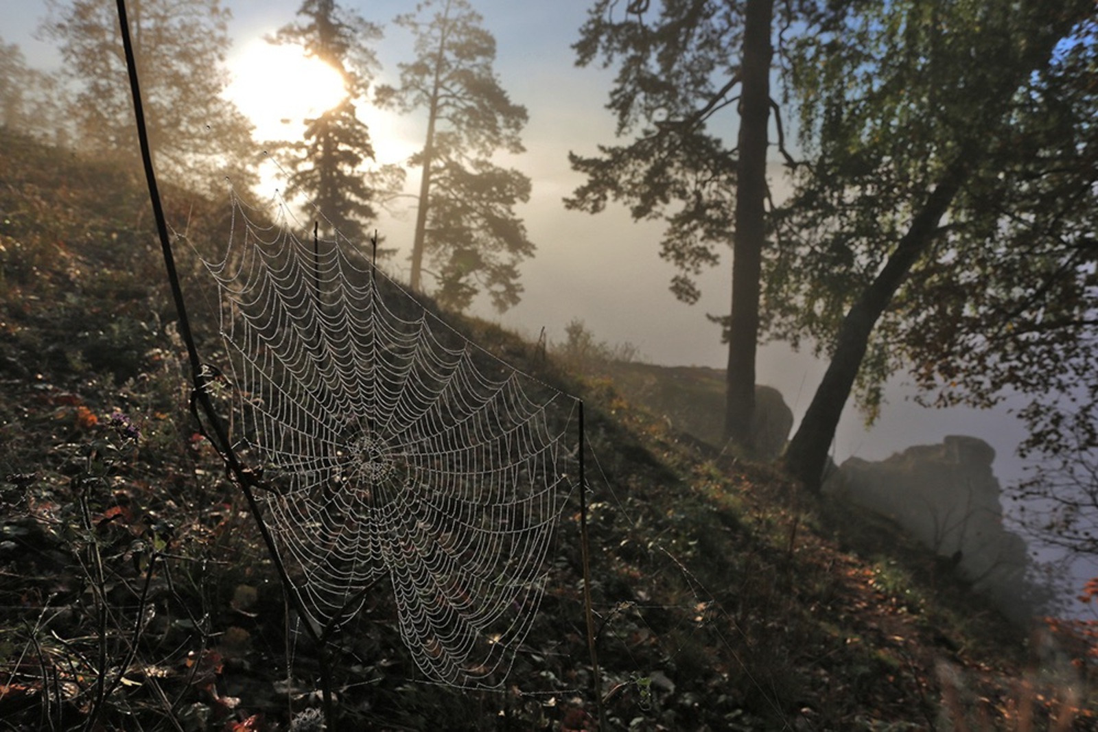 Александр Данилов fotobank02.ru