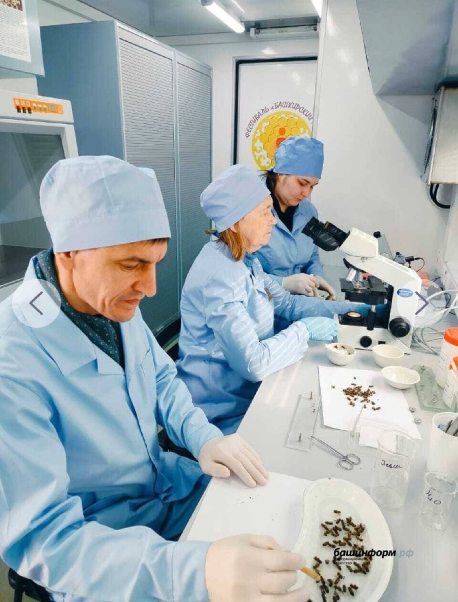 соцсети Радия Хабирова