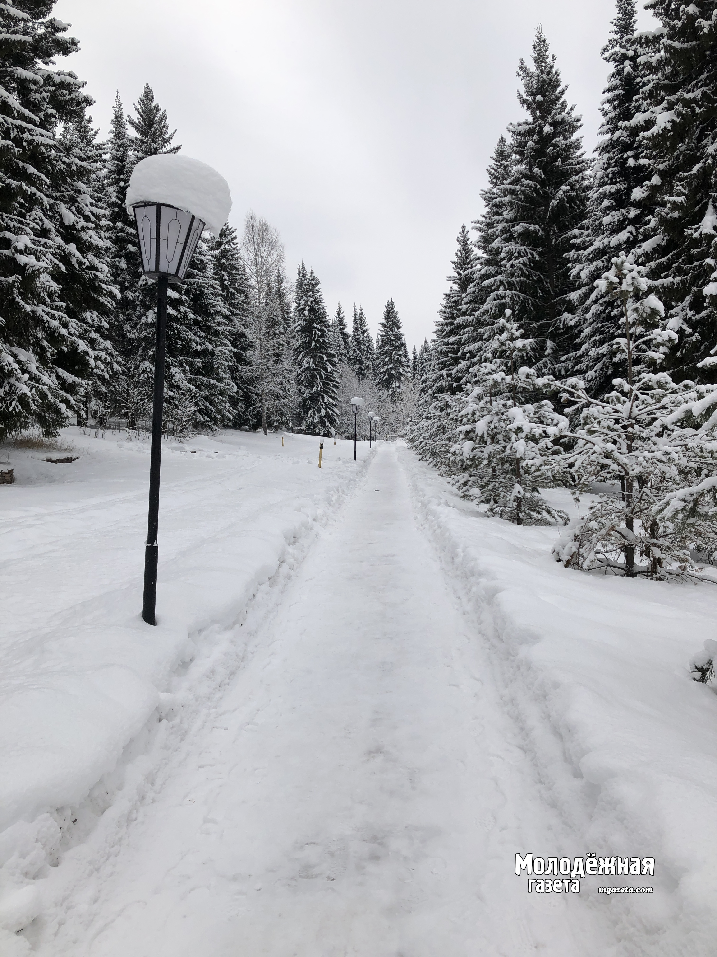 В некоторых районах Башкирии возможны заморозки до - 23