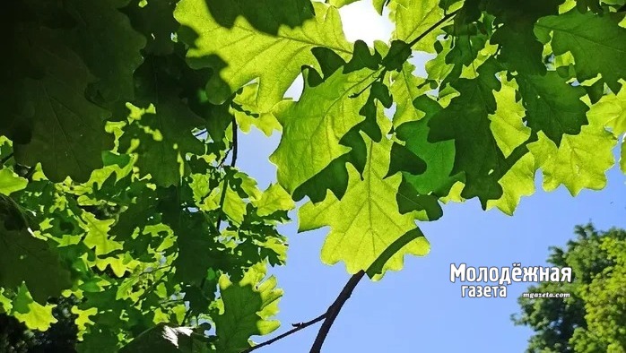 Вблизи Золотого кольца Башкирии появится кемперная стоянка для автотуристов