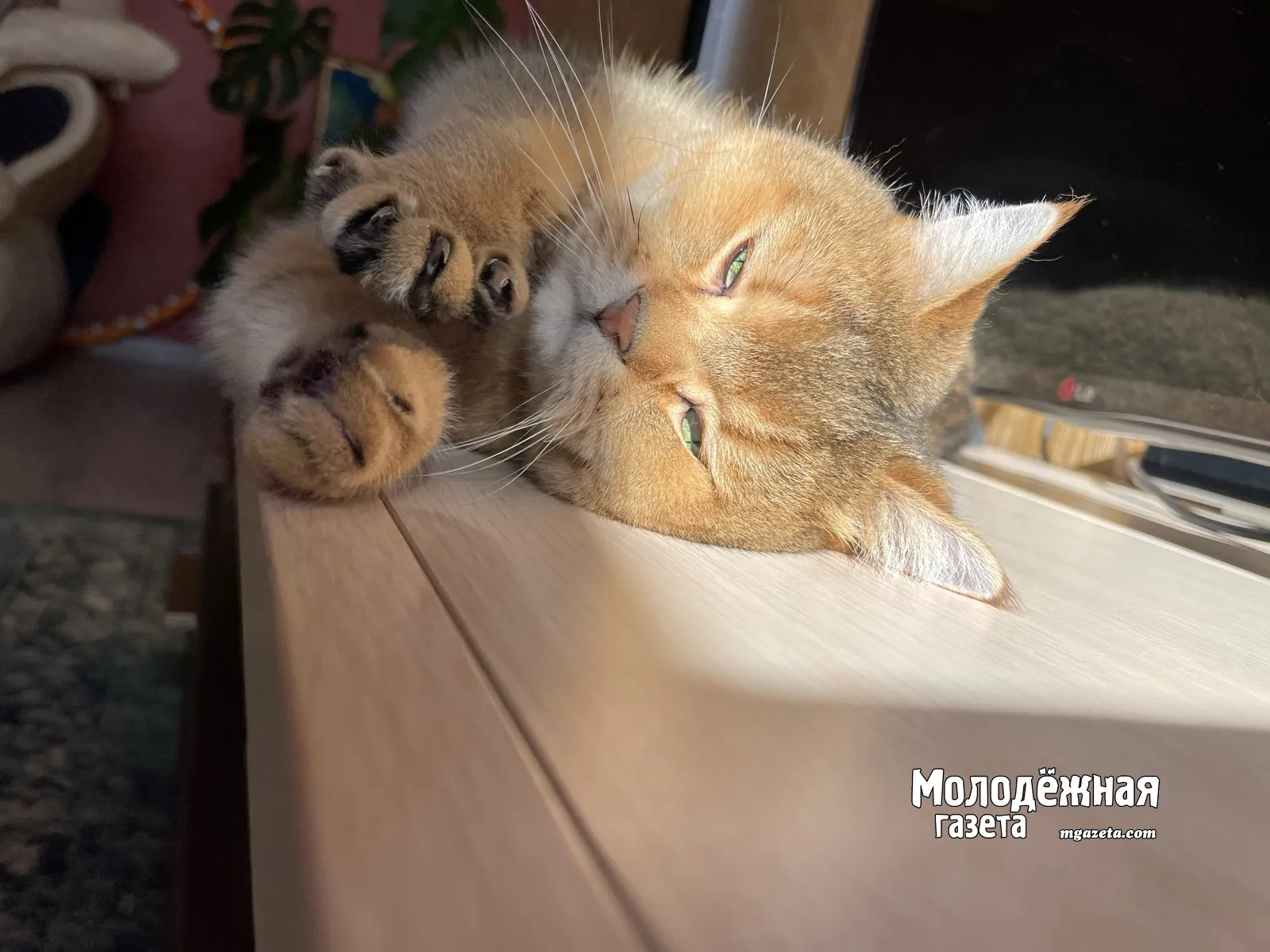 В Башкирию придет жаркая погода