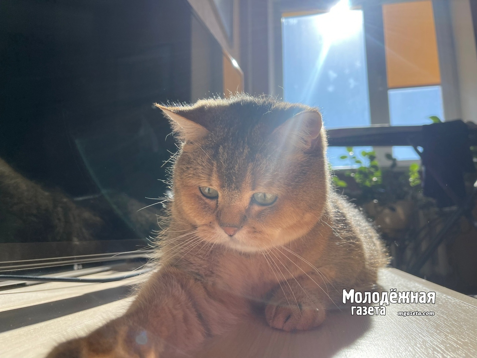 Погода в Башкирии на выходные: тепло без осадков