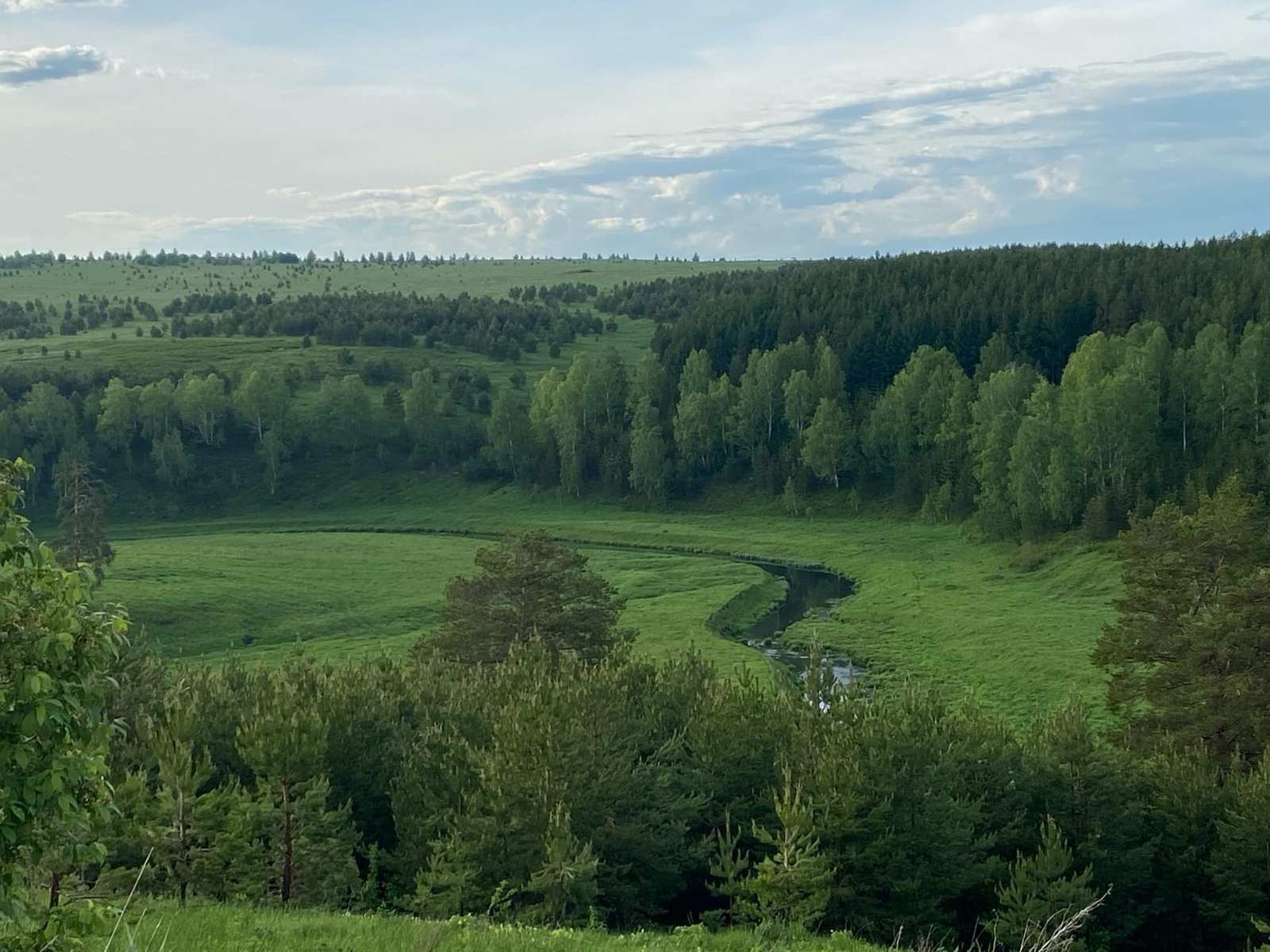 За неделю в Башкирии зафиксировано два лесных пожара