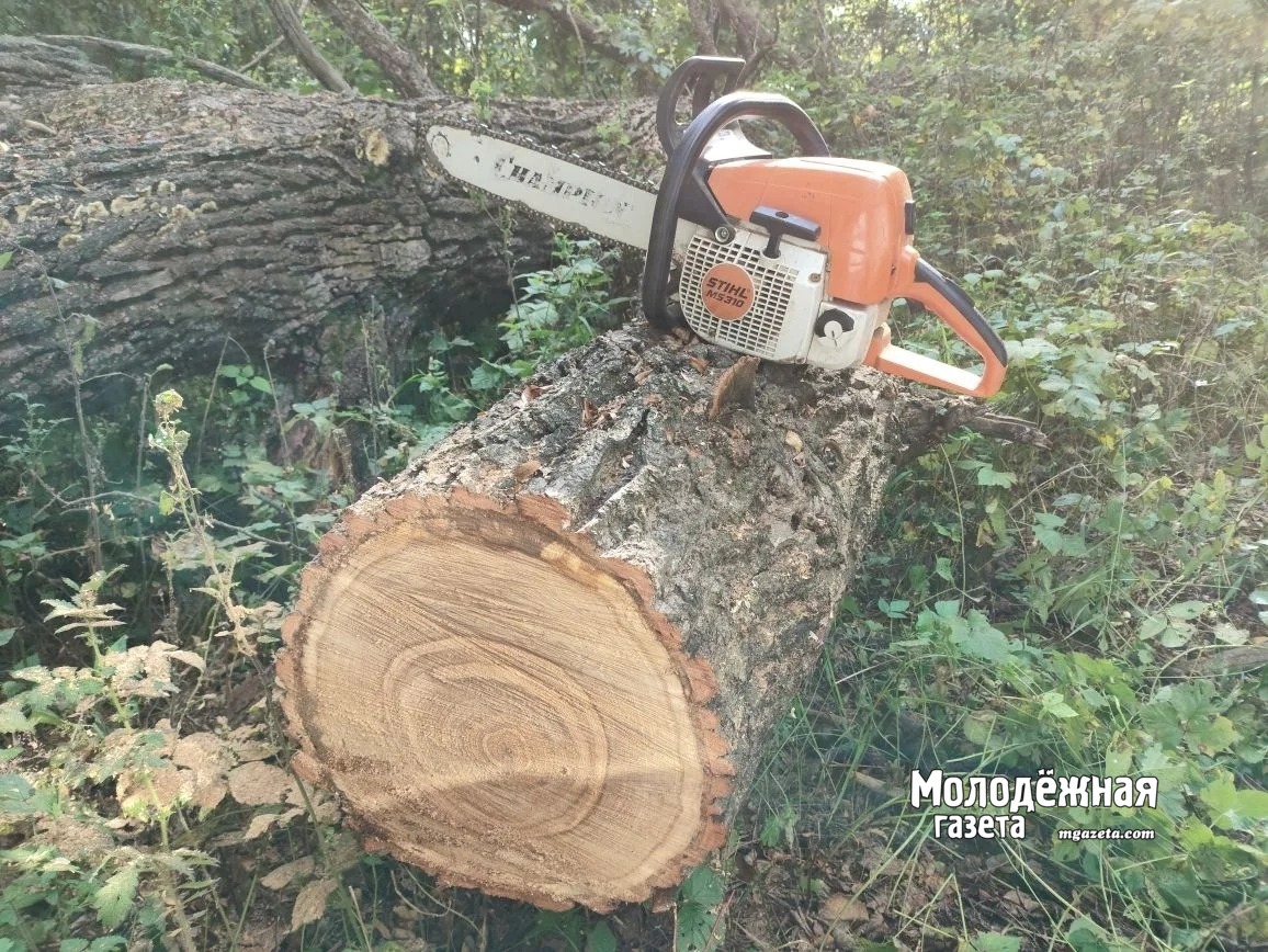 Миллион за мастерство: в России стартовал конкурс для профи