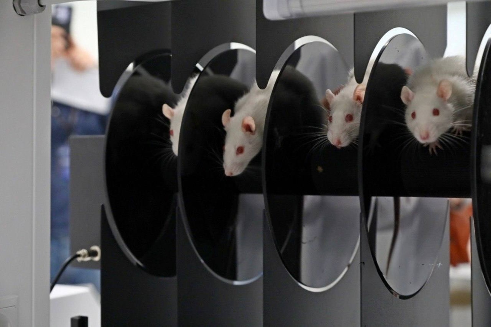 Межвузовский кампус Уфы