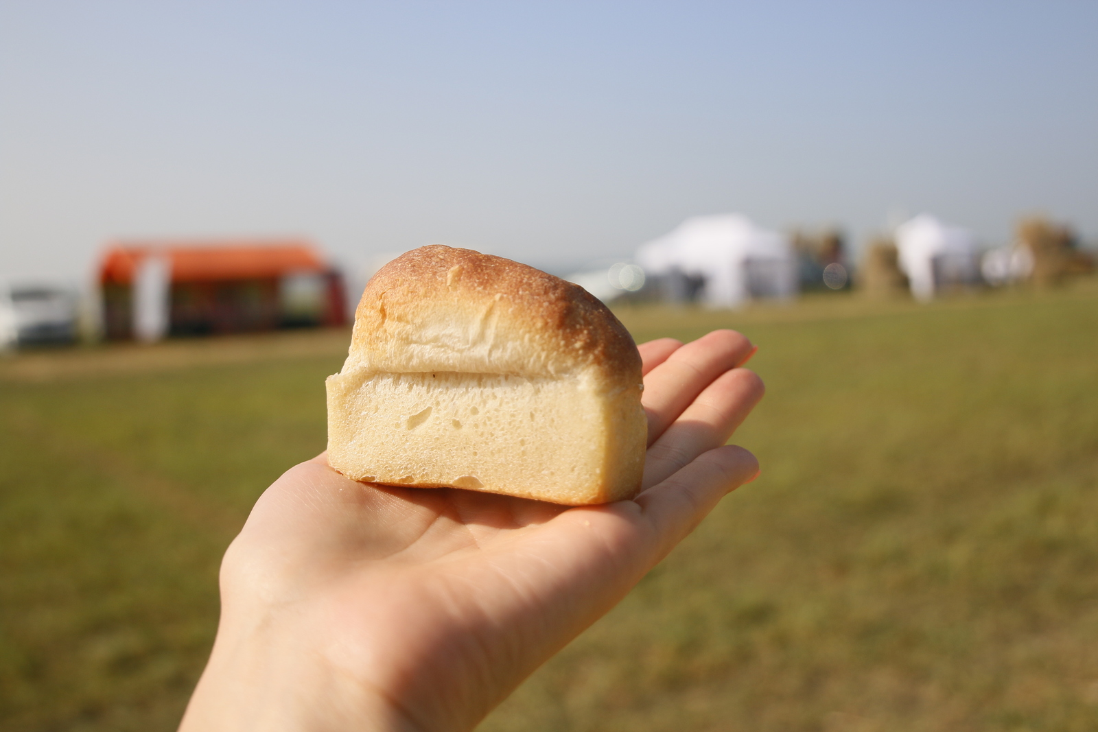 правительство Башкортостана