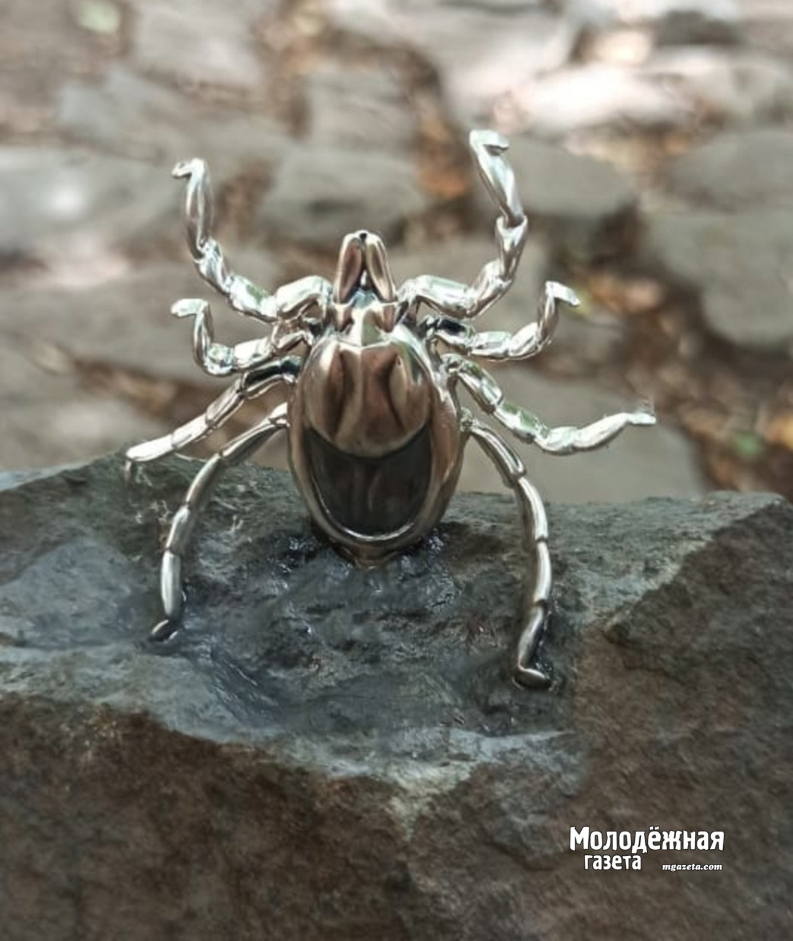 Доберутся ли до Башкирии клещи-мутанты, рассказал ученый-биолог