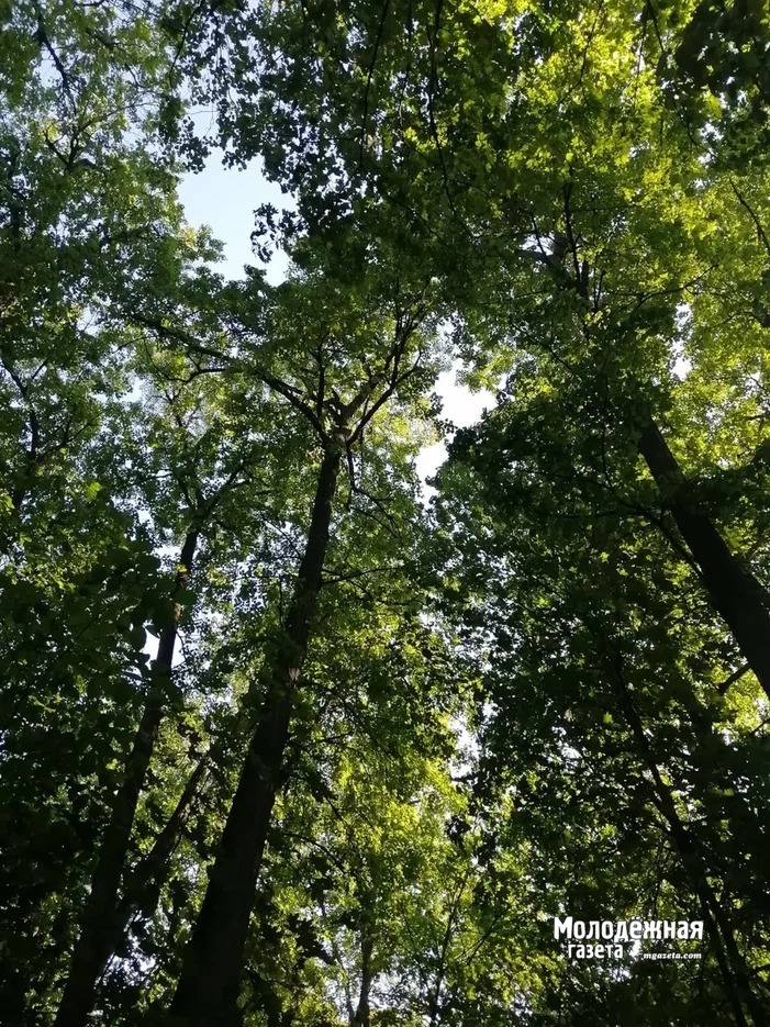 В Башкирии продолжает расти число пострадавших от укусов клещей