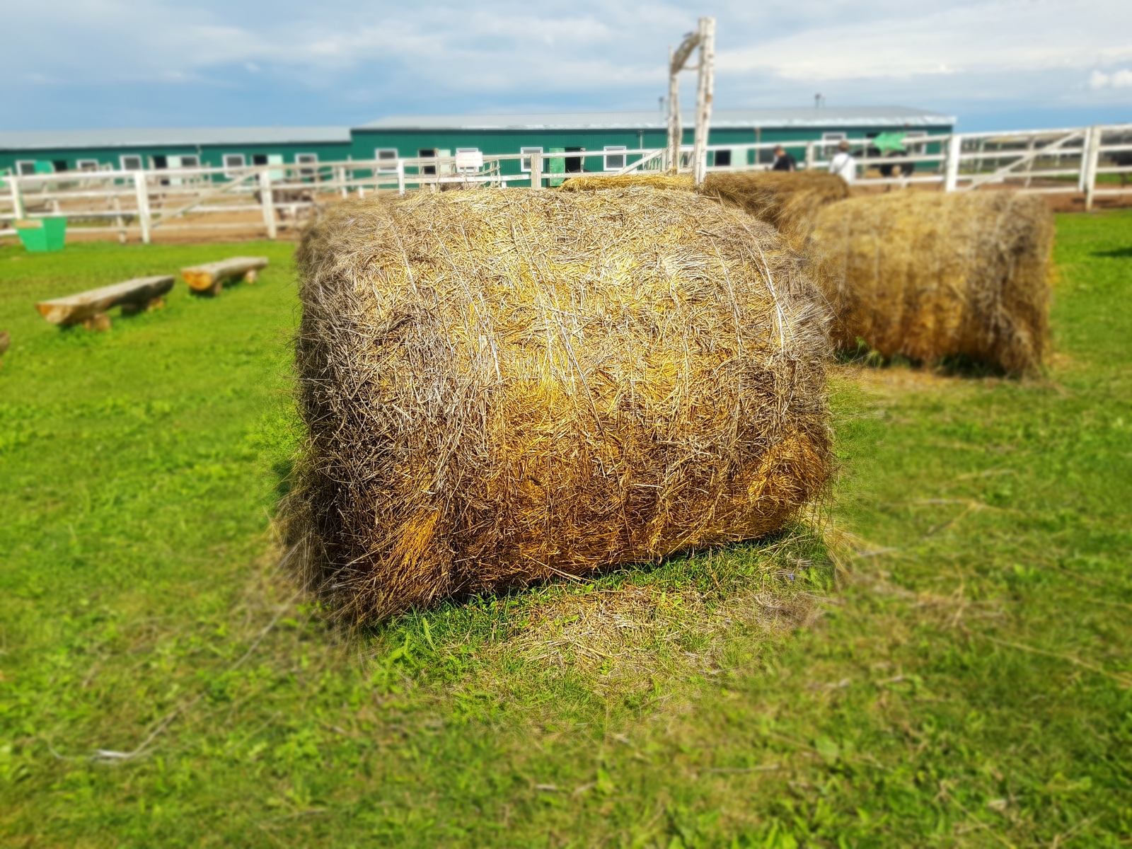 Сельским жителям Башкирии напомнили о надбавке к пенсии