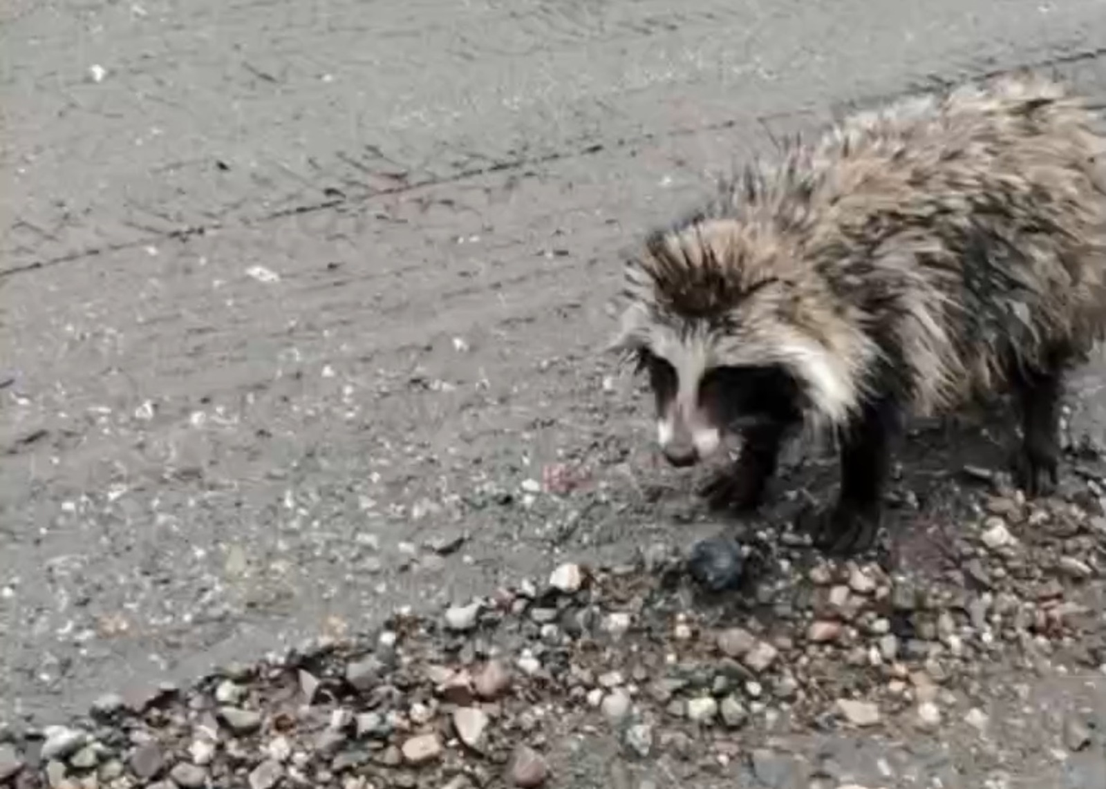 стоп-кадр видео