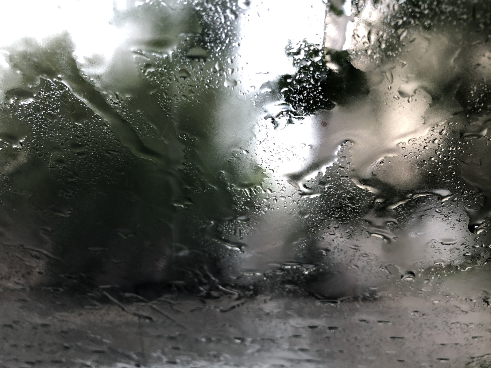 В Башкирии локально ожидаются ливни