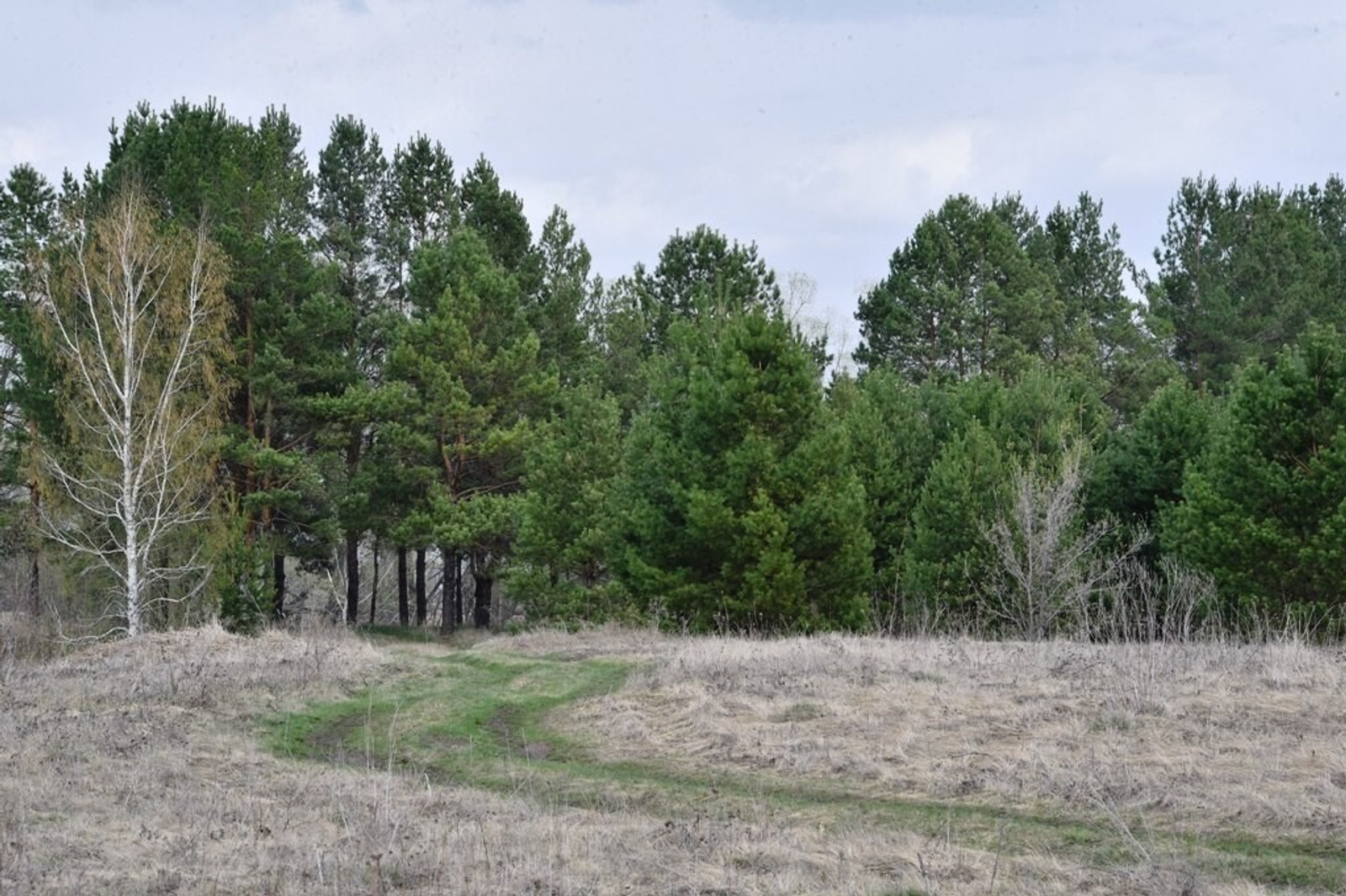 Динар Калимуллин fotobank02.ru