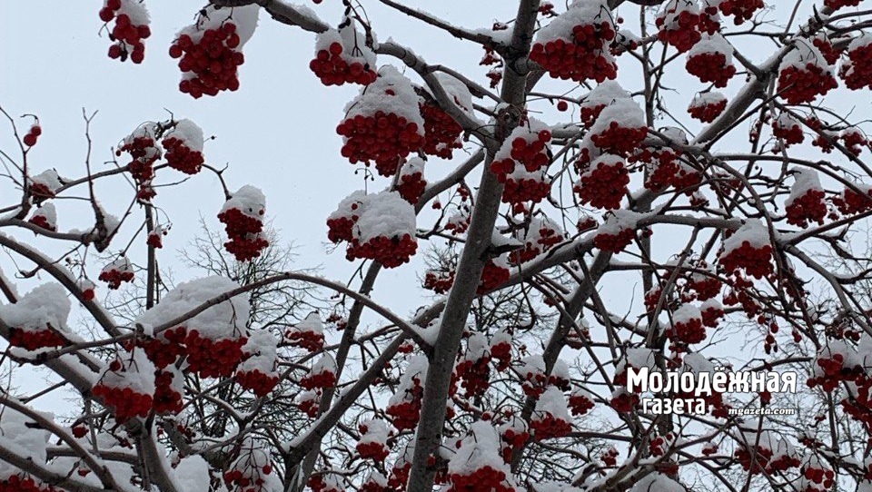 Морозы в Башкирии не спешат отступать