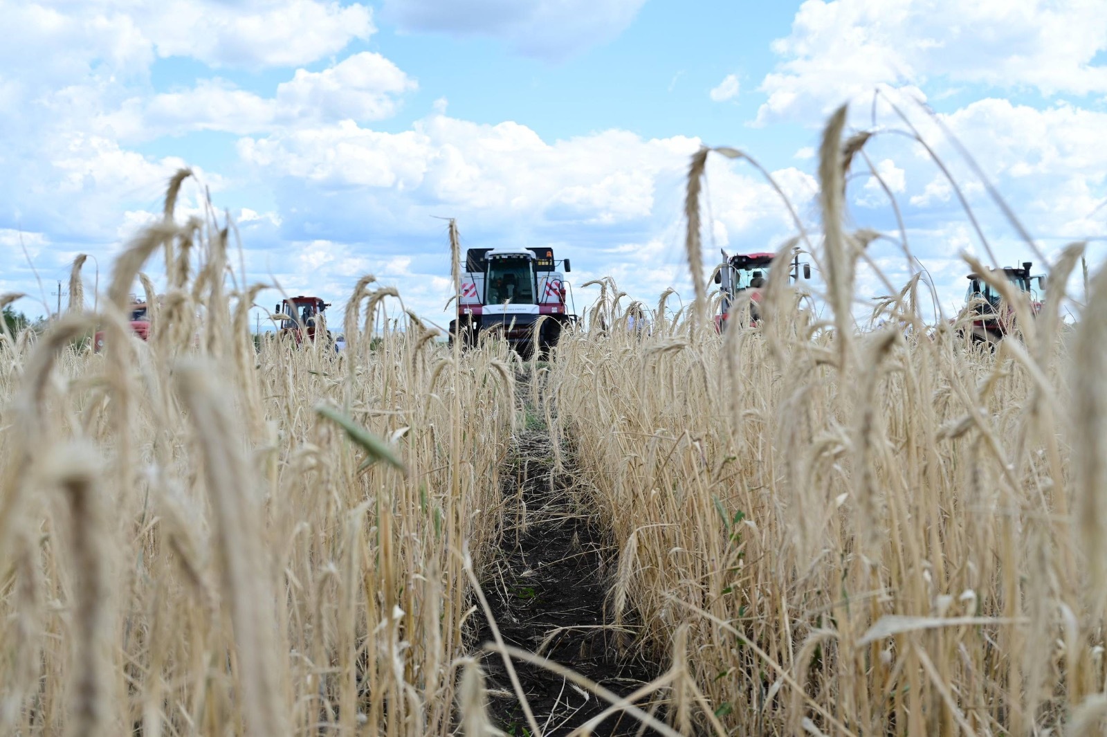 соцсети Андрея Назарова