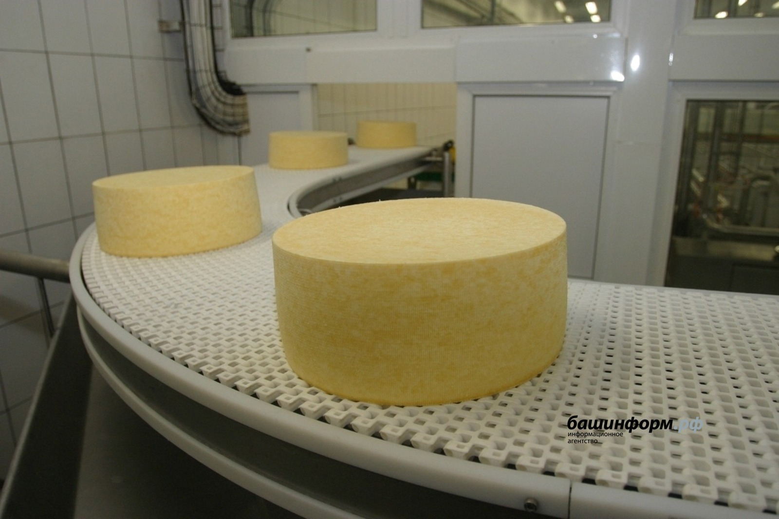 В Башкортостане открылось современное производство мягких сыров