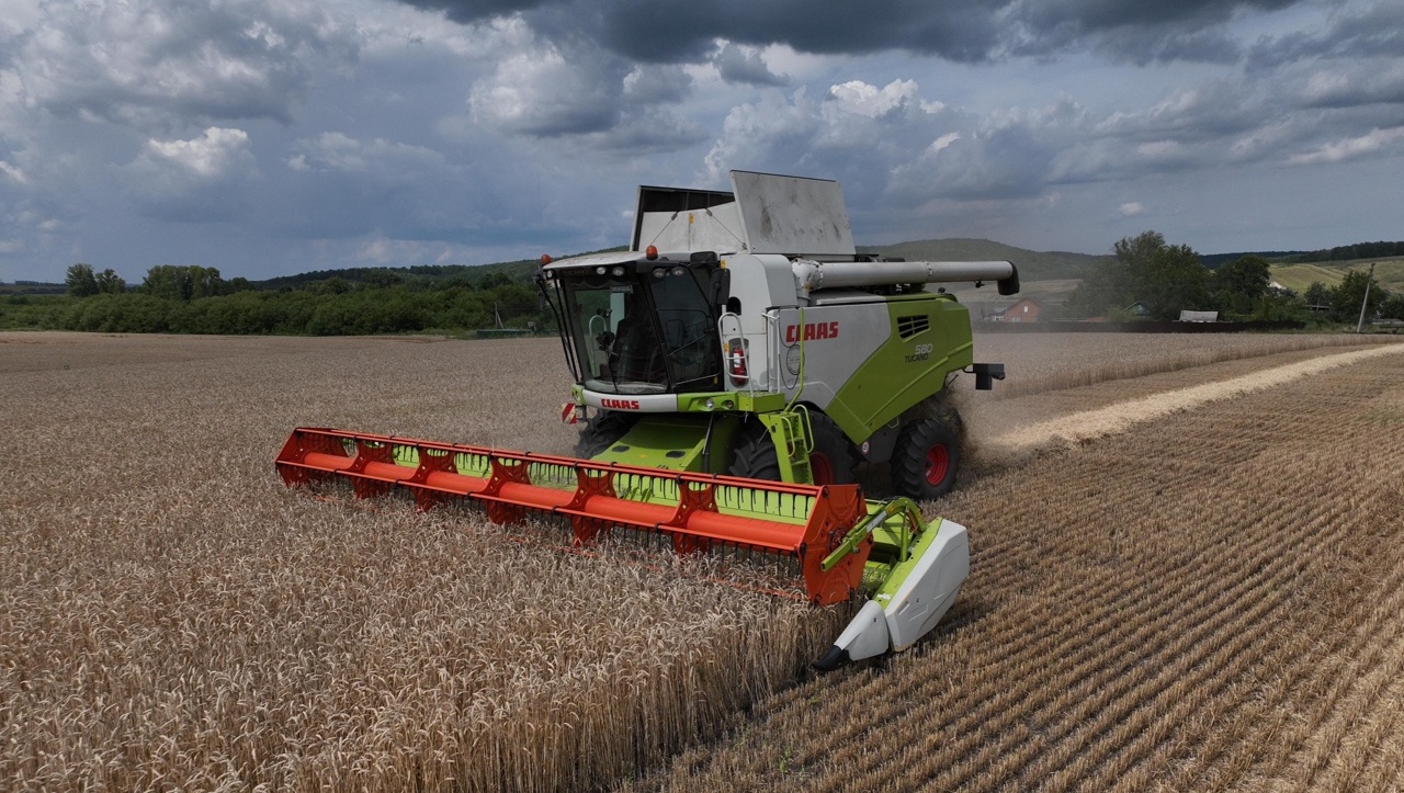 В Башкирии стартовала уборочная кампания: уже собрано 200 тысяч тонн