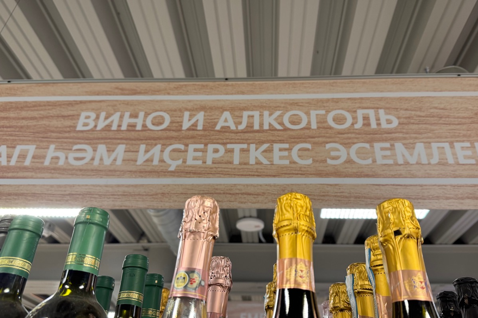 Олеся Вильданова  fotobank02.ru