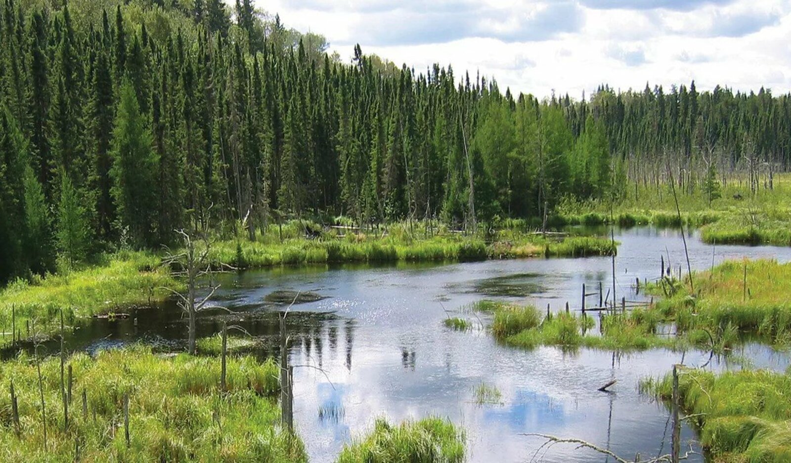 Участникам викторины на знание водно-болотных угодий Башкортостана необходимо ответить на 20 вопросов