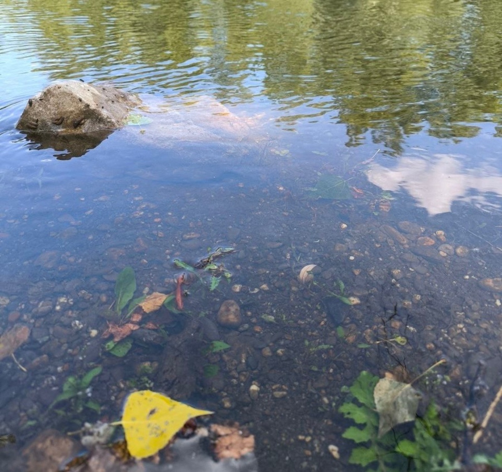 Гульназ Салаватова  fotobank02.ru